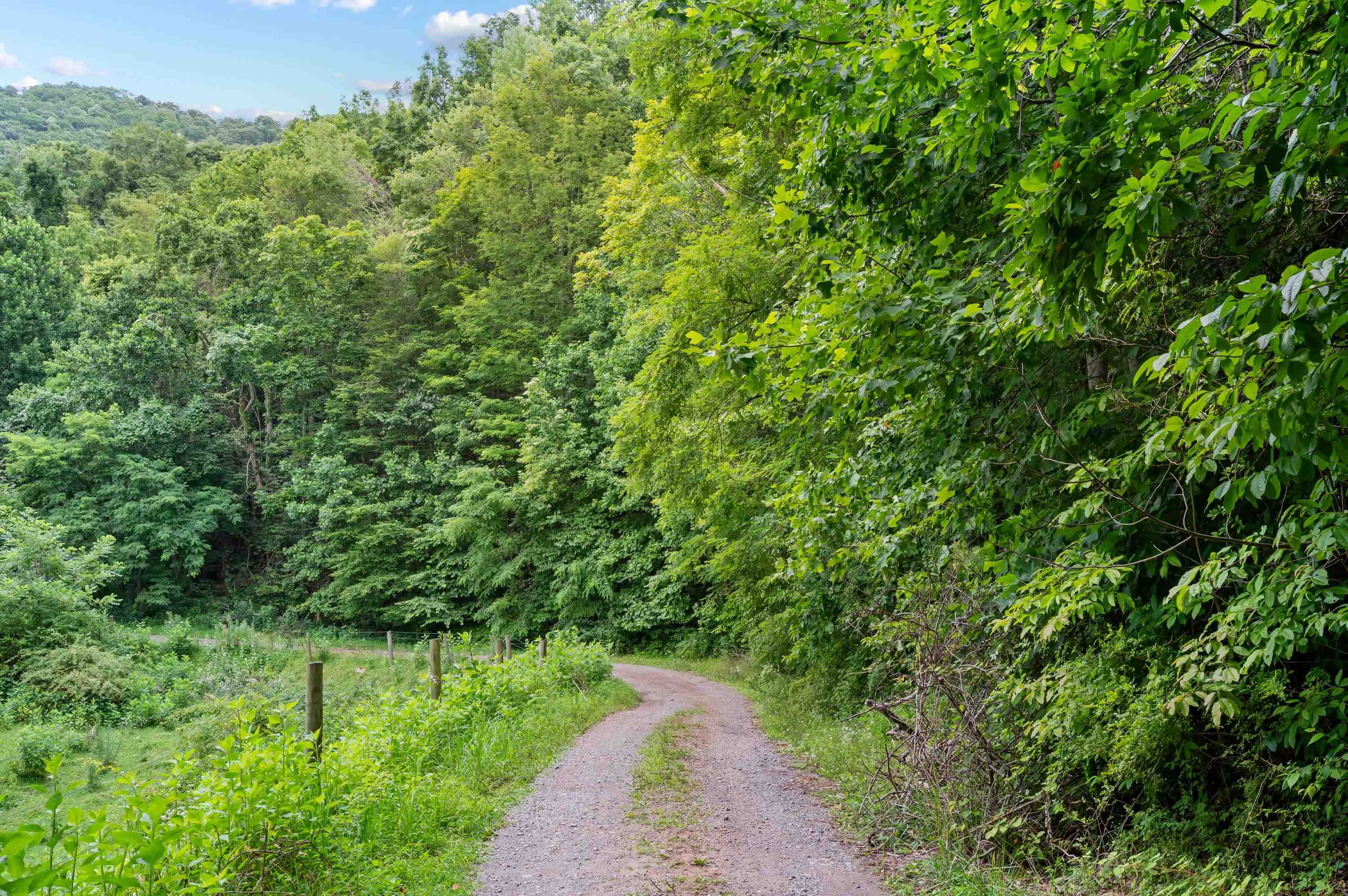 Tbd N Lot G Springdale Road N Pearisburg VA 24134