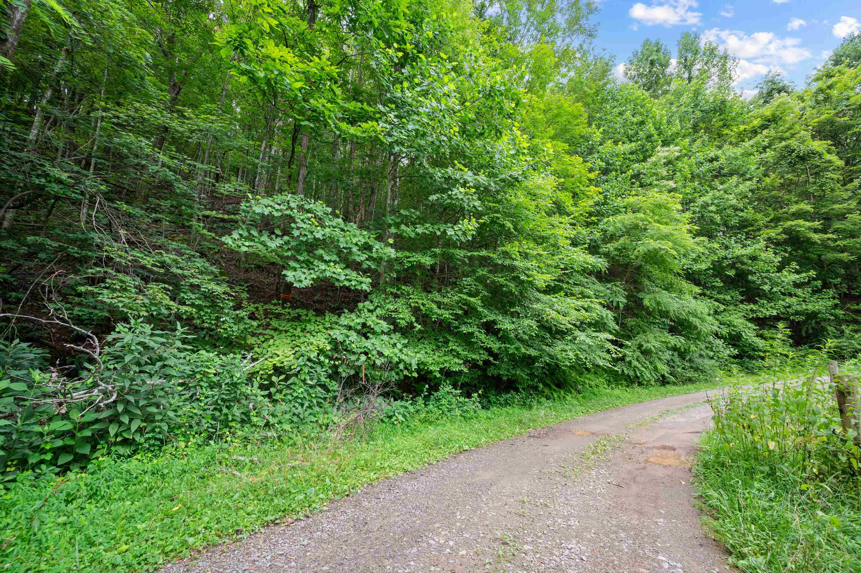 Tbd N Lot G Springdale Road N Pearisburg VA 24134