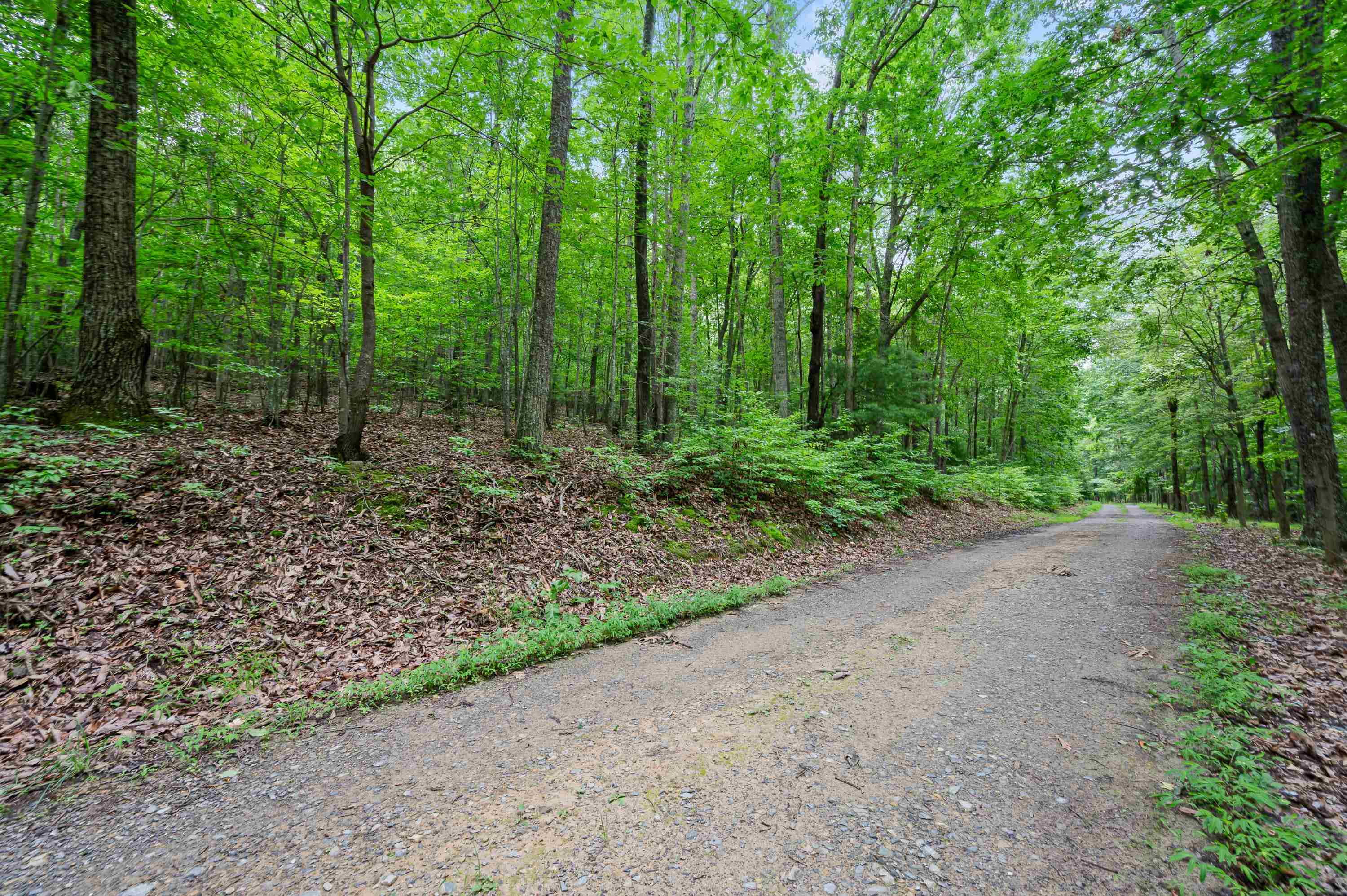 Tbd N Lot G Springdale Road N Pearisburg VA 24134