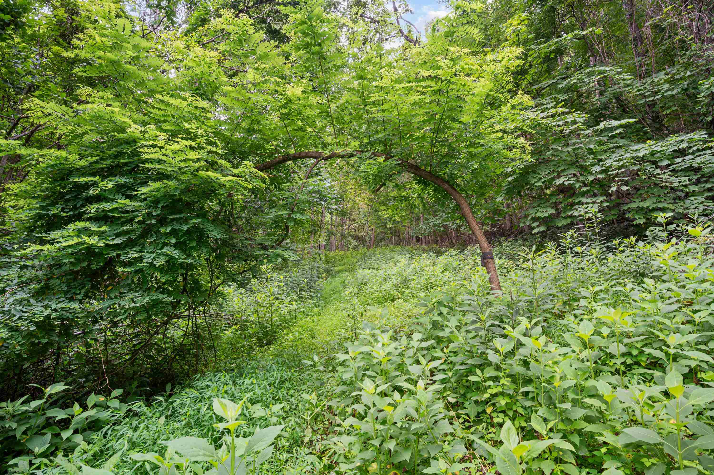 Tbd N Lot G Springdale Road N Pearisburg VA 24134