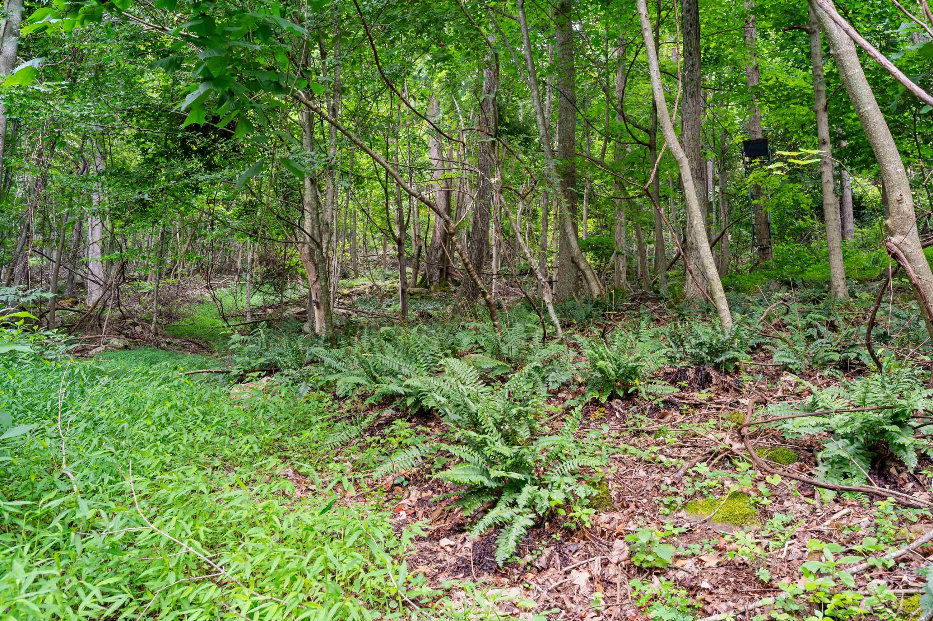 Tbd N Lot G Springdale Road N Pearisburg VA 24134