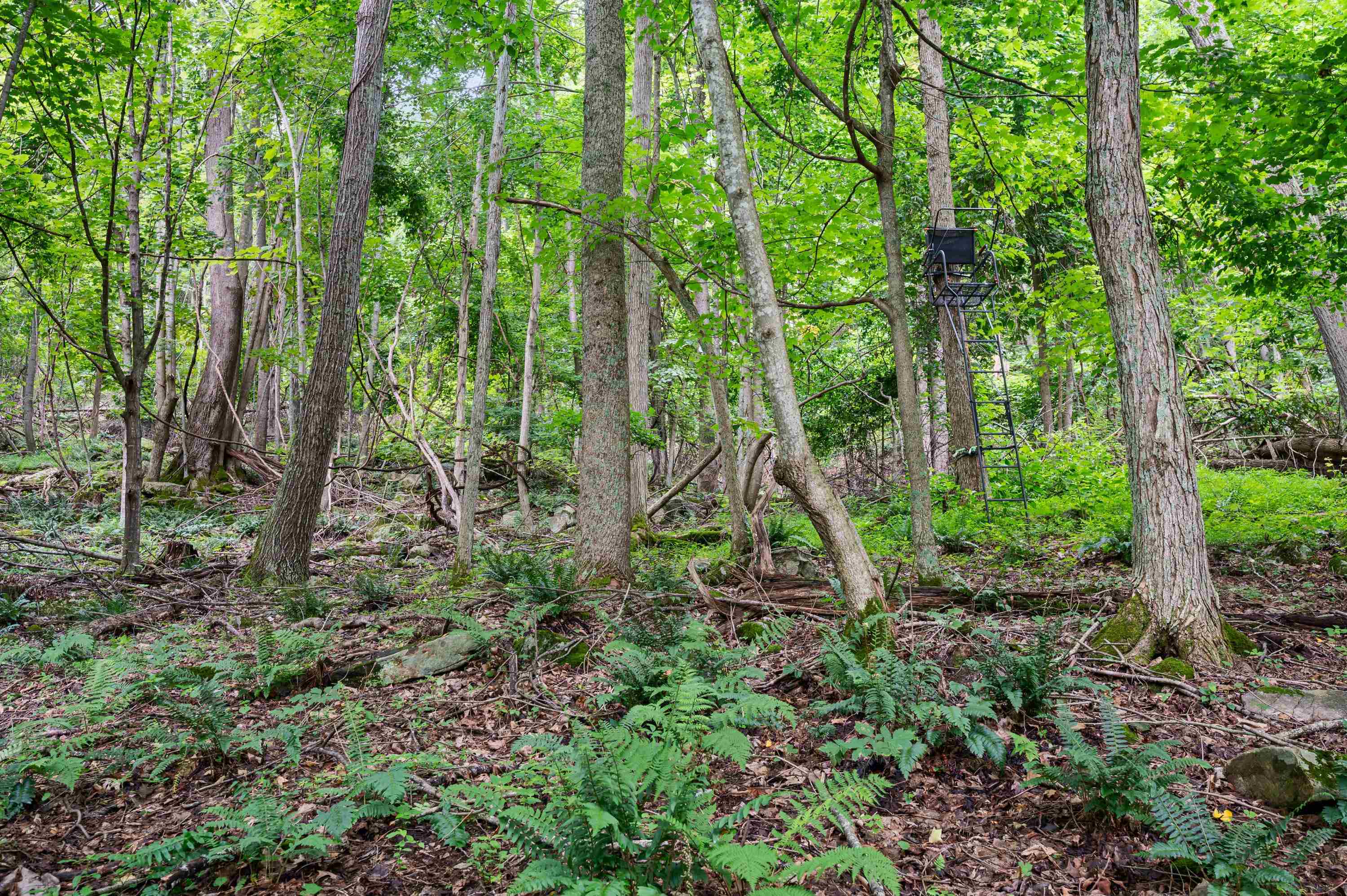 Tbd N Lot G Springdale Road N Pearisburg VA 24134