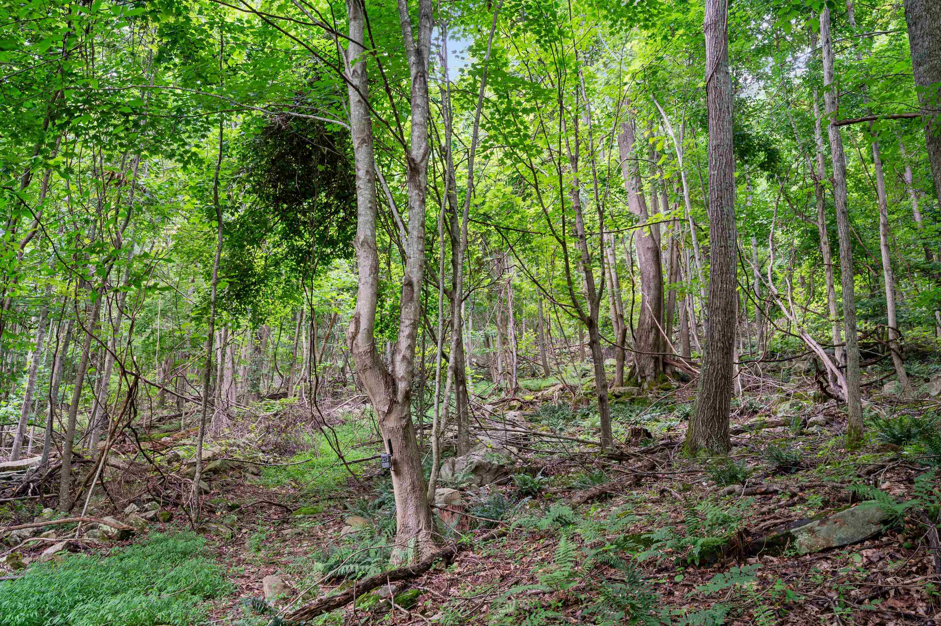 Tbd N Lot G Springdale Road N Pearisburg VA 24134