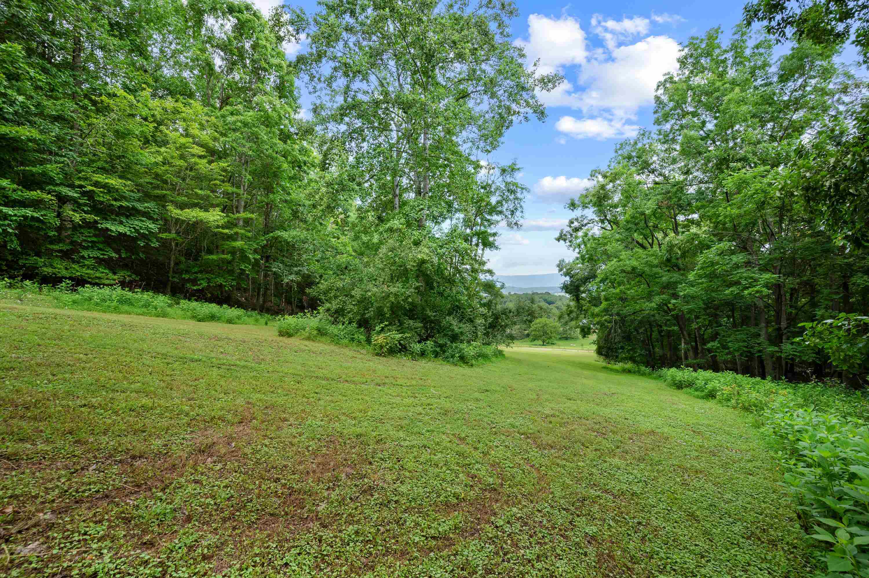 Tbd N Lot G Springdale Road N Pearisburg VA 24134