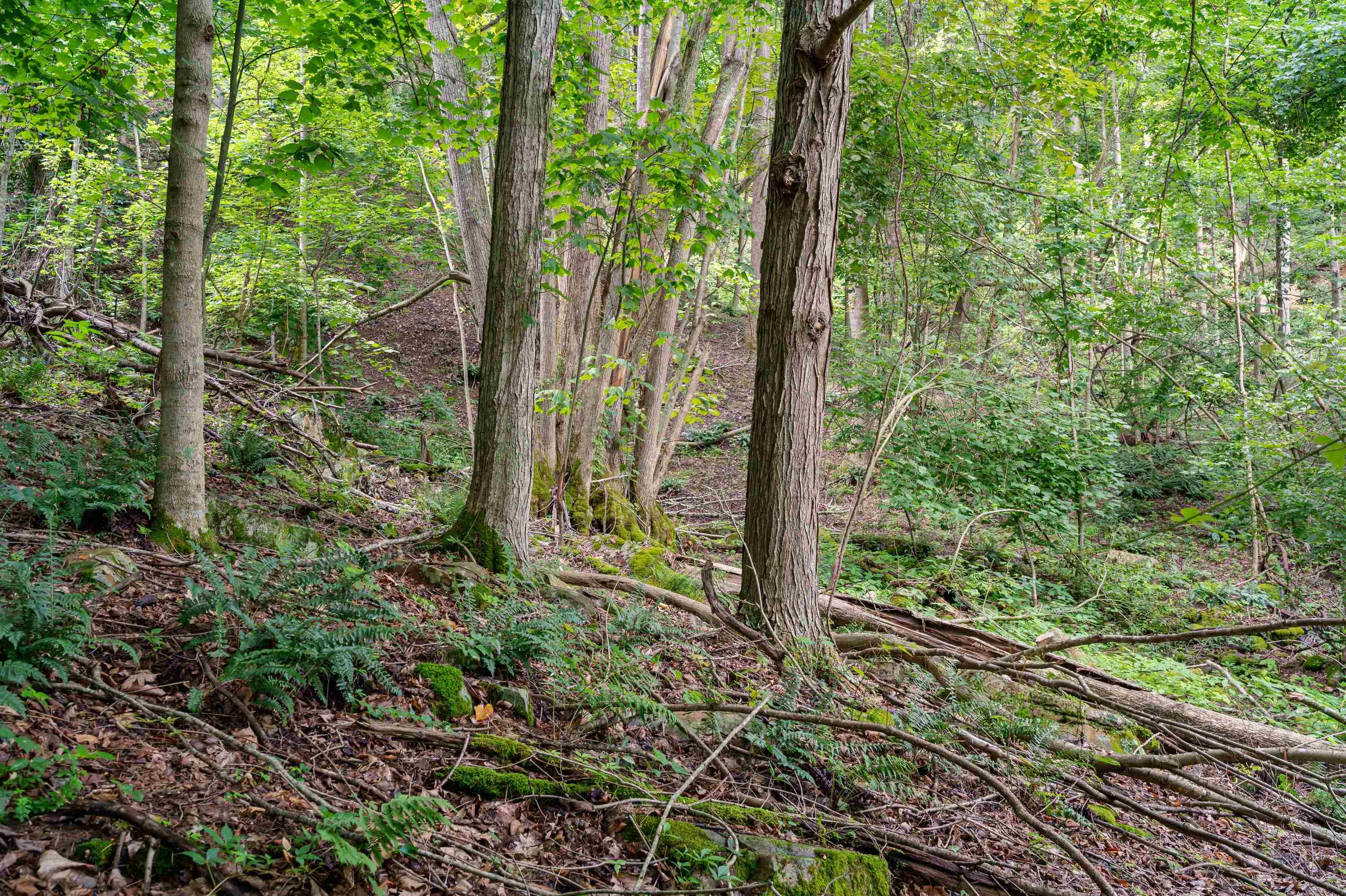 Tbd N Lot G Springdale Road N Pearisburg VA 24134