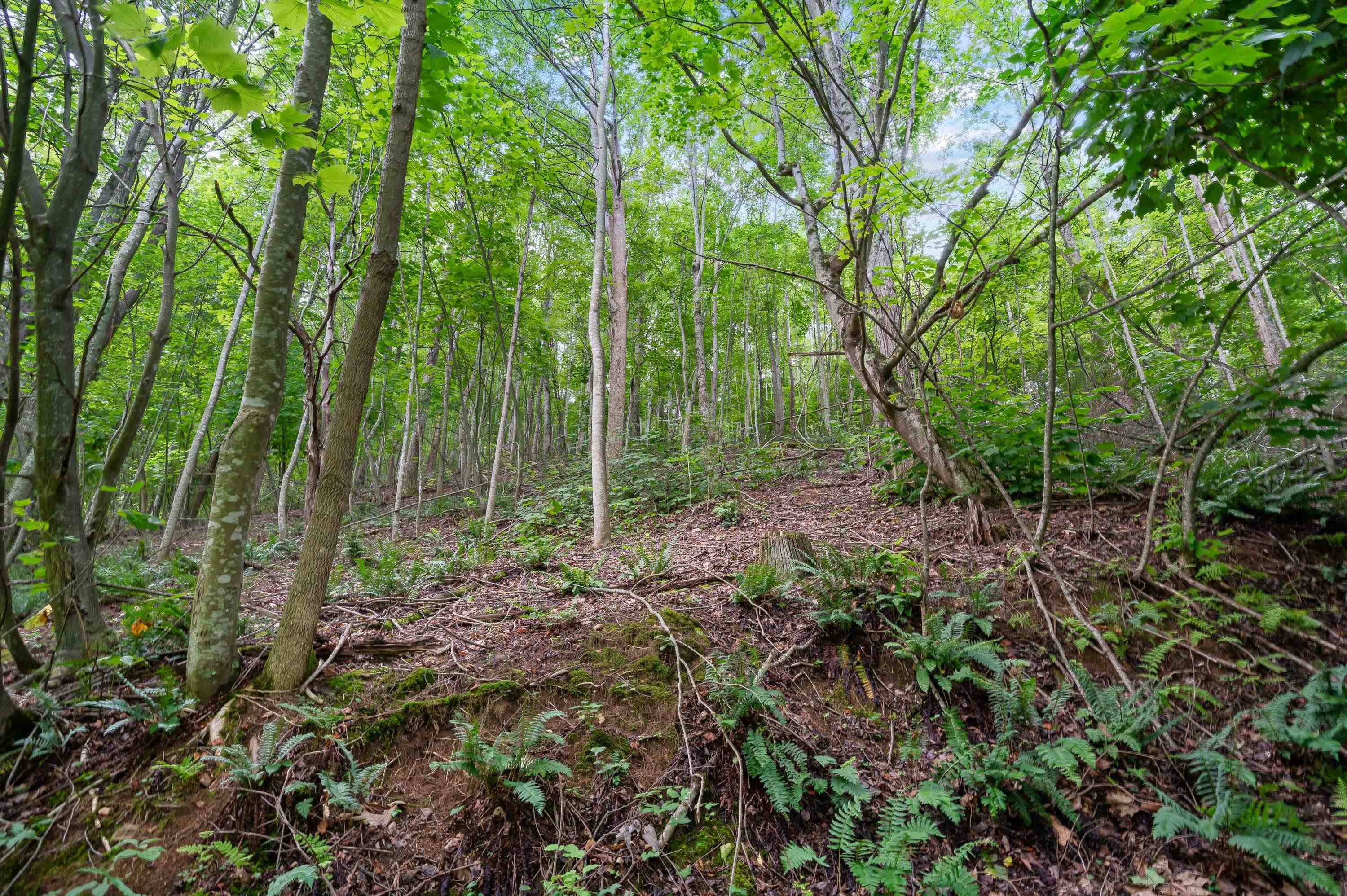 Tbd N Lot G Springdale Road N Pearisburg VA 24134