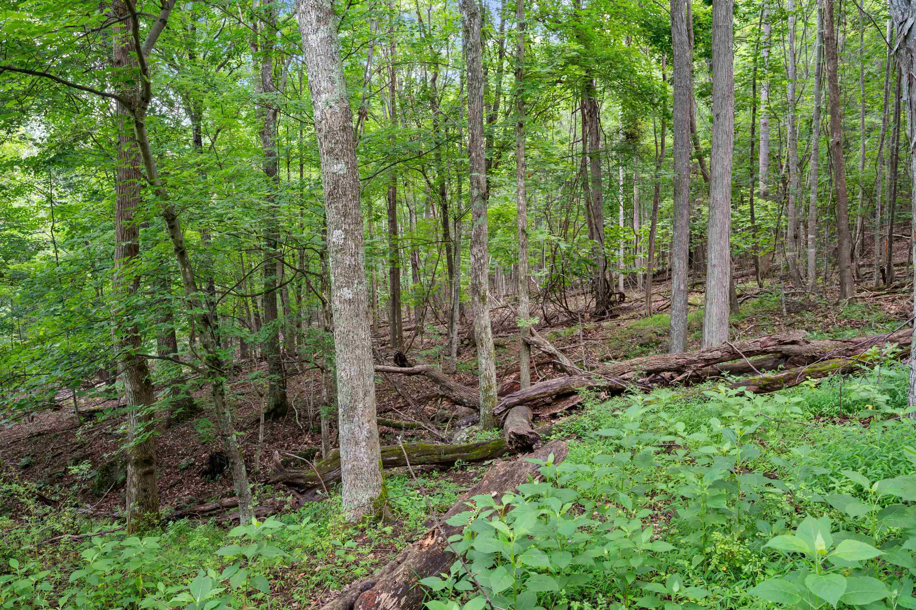 Tbd N Lot G Springdale Road N Pearisburg VA 24134