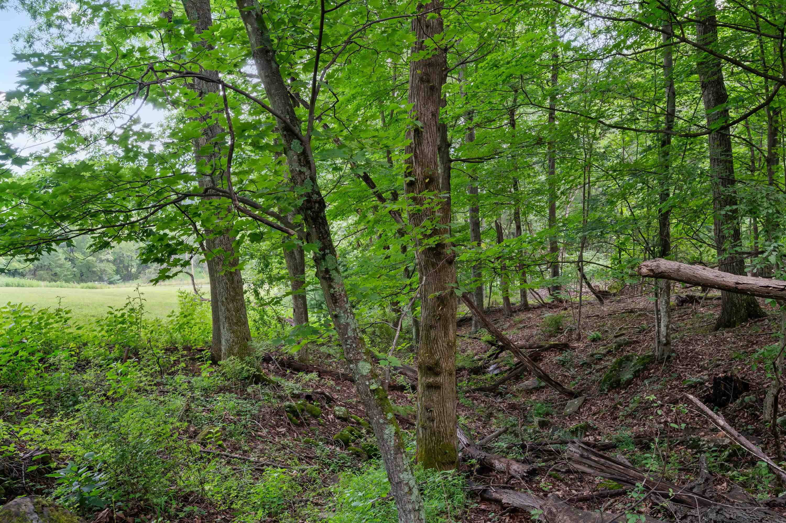 Tbd N Lot G Springdale Road N Pearisburg VA 24134