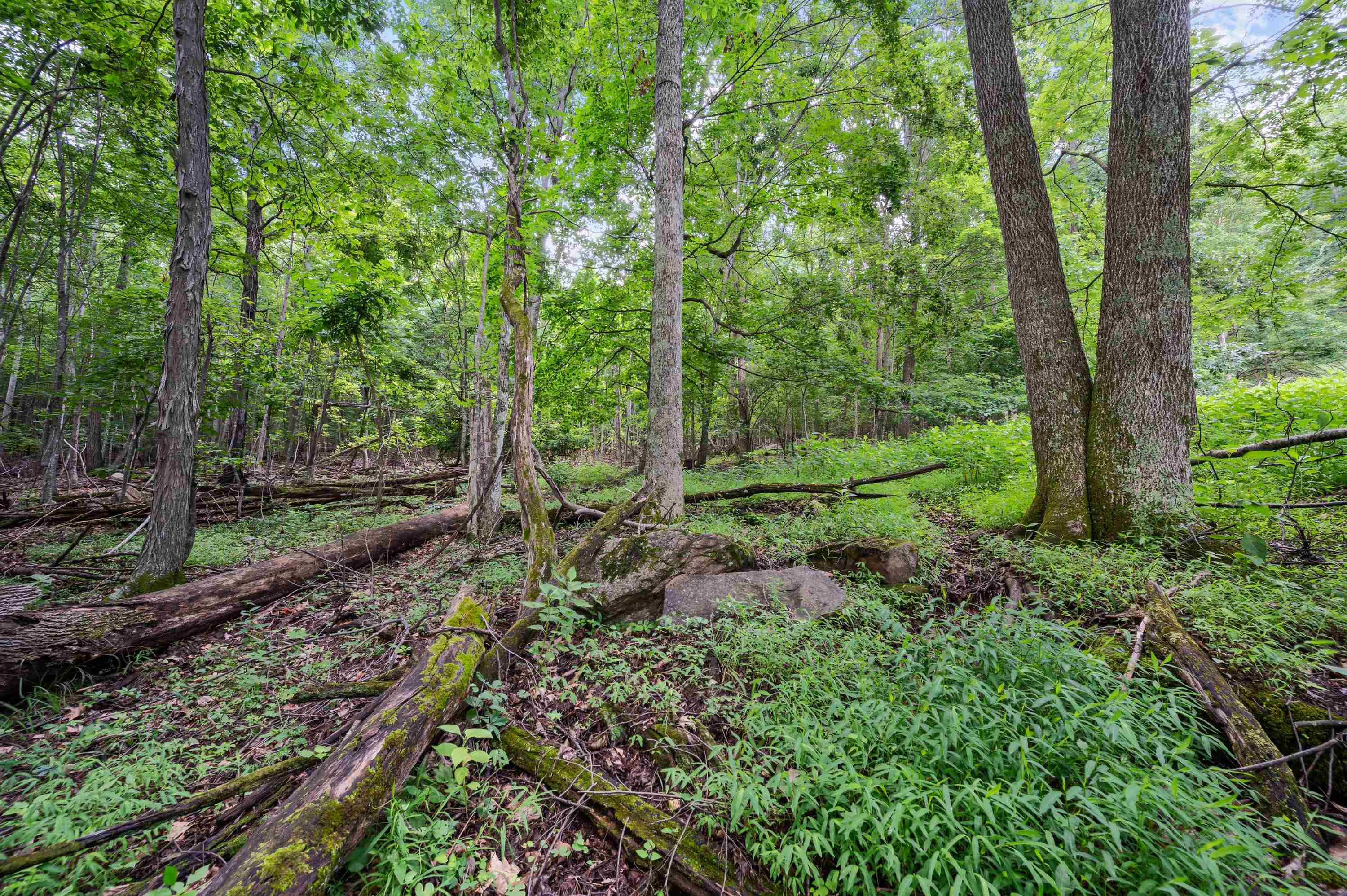 Tbd N Lot G Springdale Road N Pearisburg VA 24134