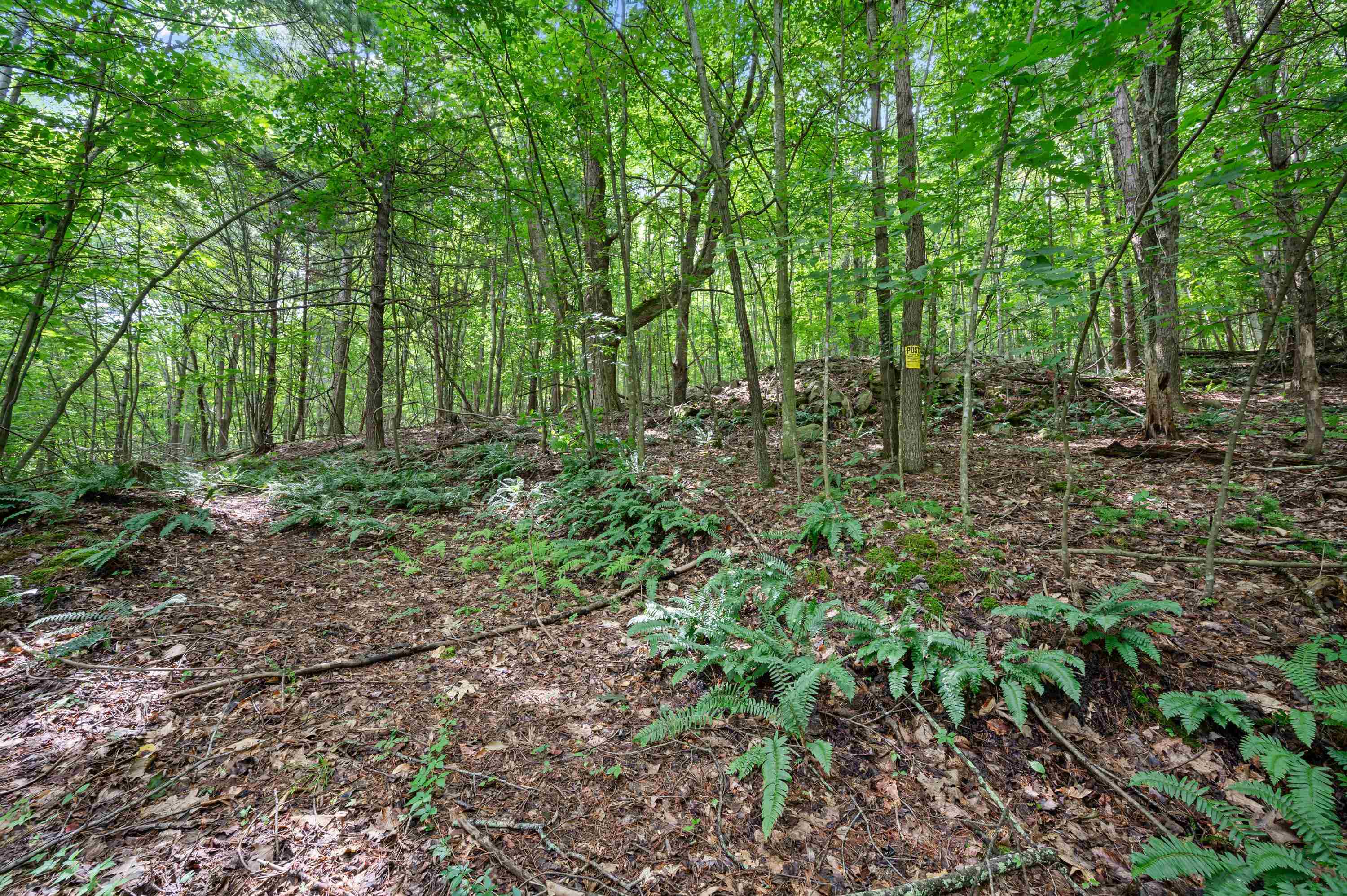 Tbd N Lot G Springdale Road N Pearisburg VA 24134