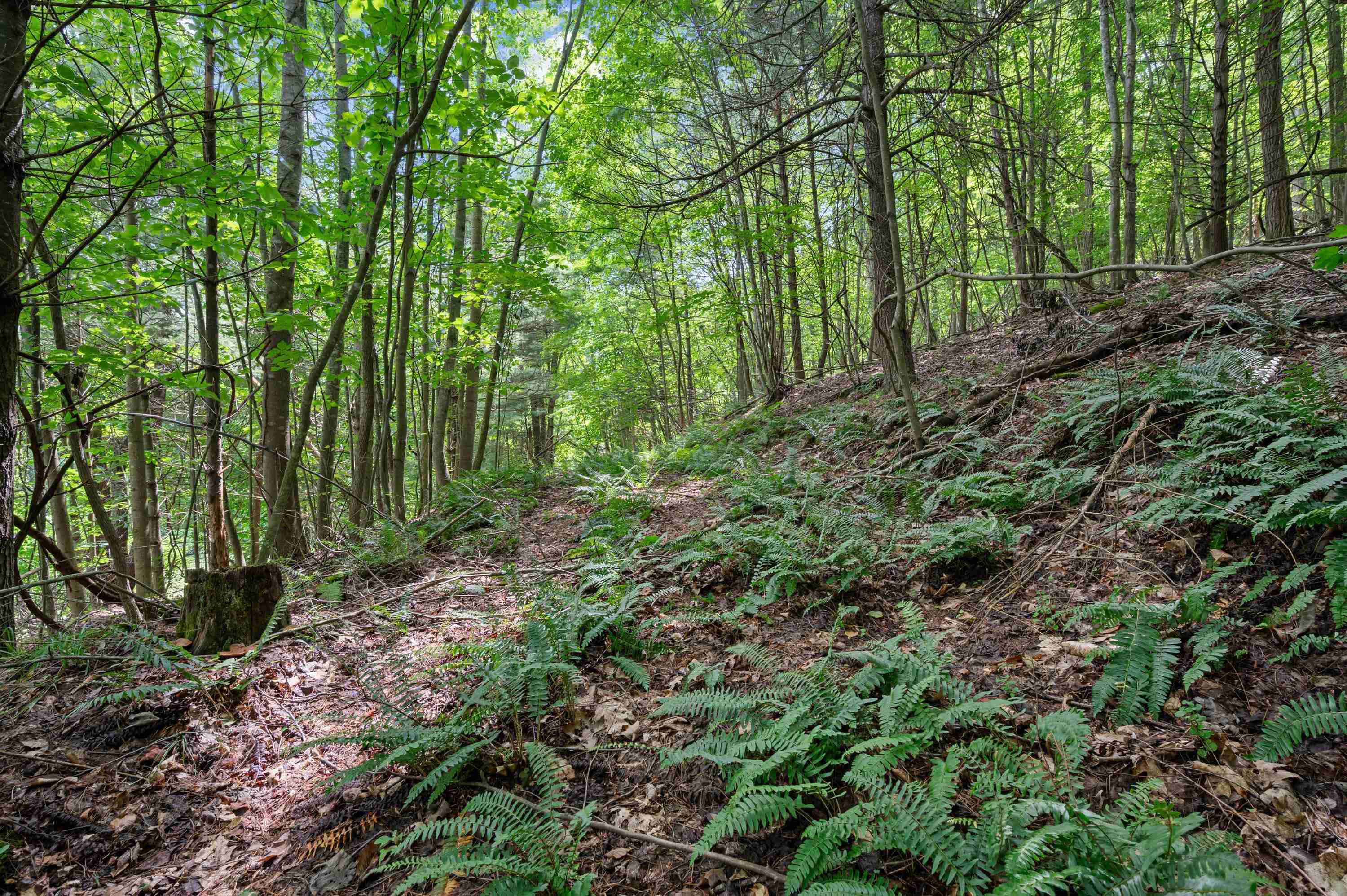 Tbd N Lot G Springdale Road N Pearisburg VA 24134