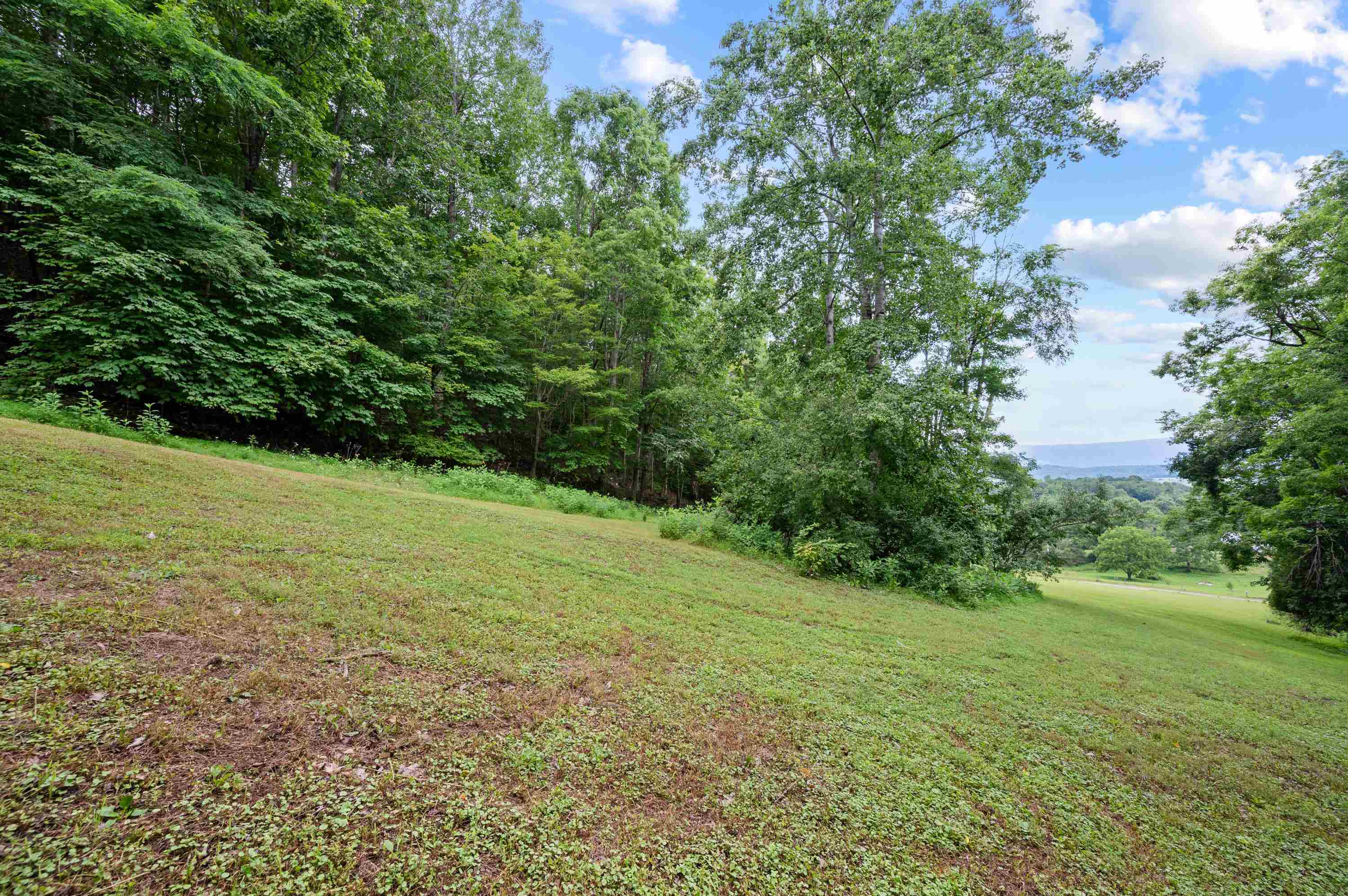 Tbd N Lot G Springdale Road N Pearisburg VA 24134