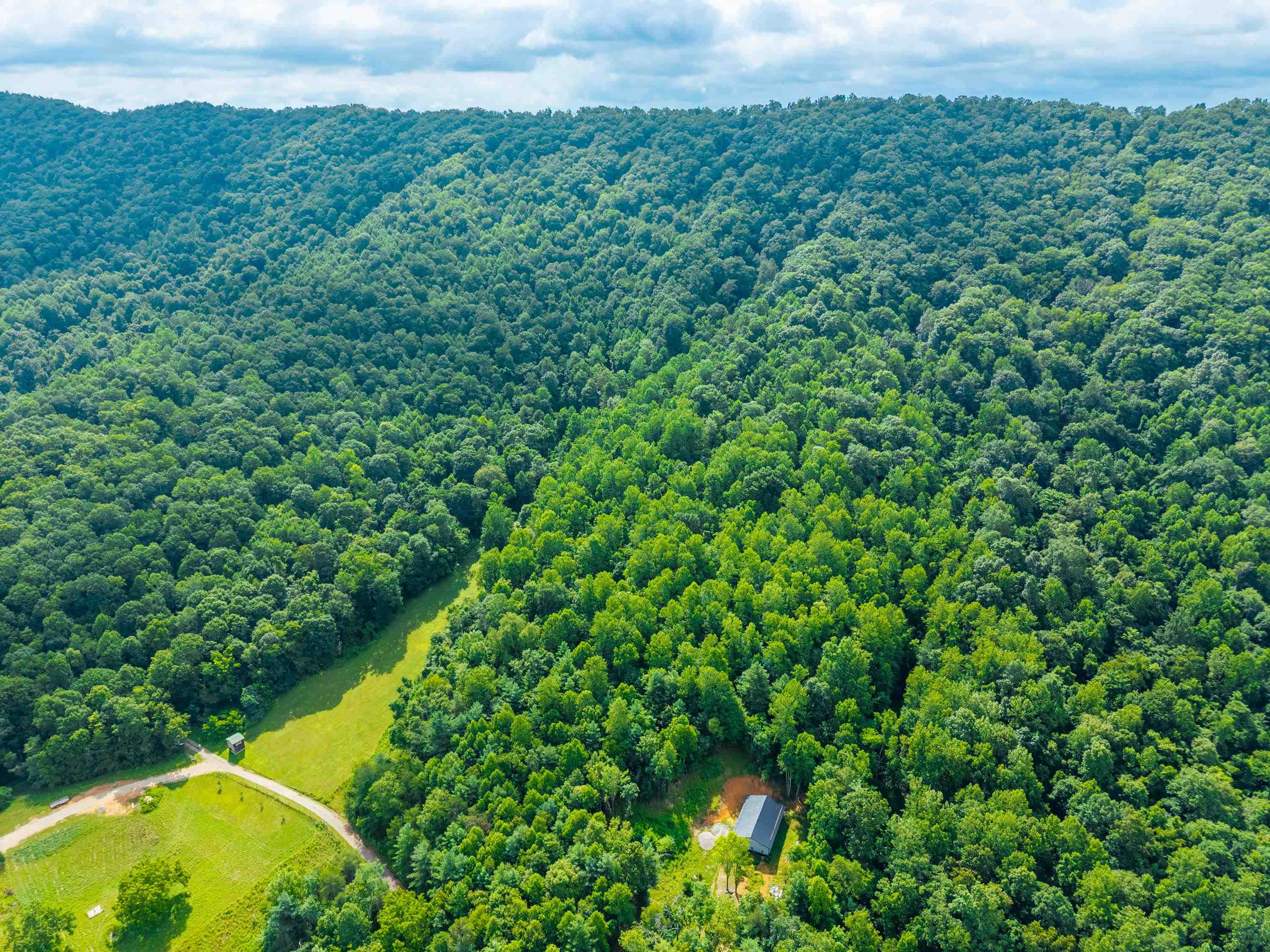 Tbd N Lot G Springdale Road N Pearisburg VA 24134