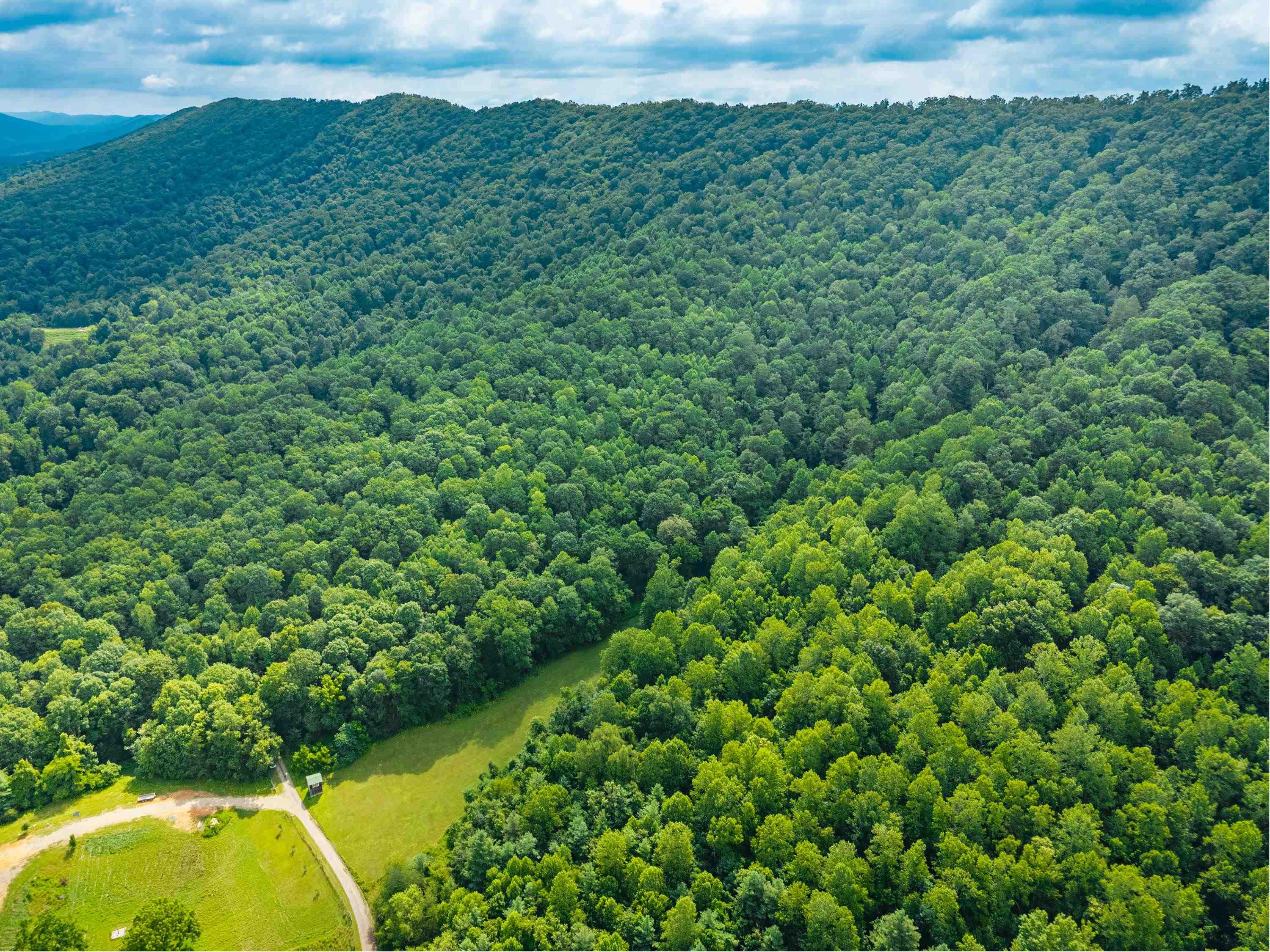 Tbd N Lot G Springdale Road N Pearisburg VA 24134