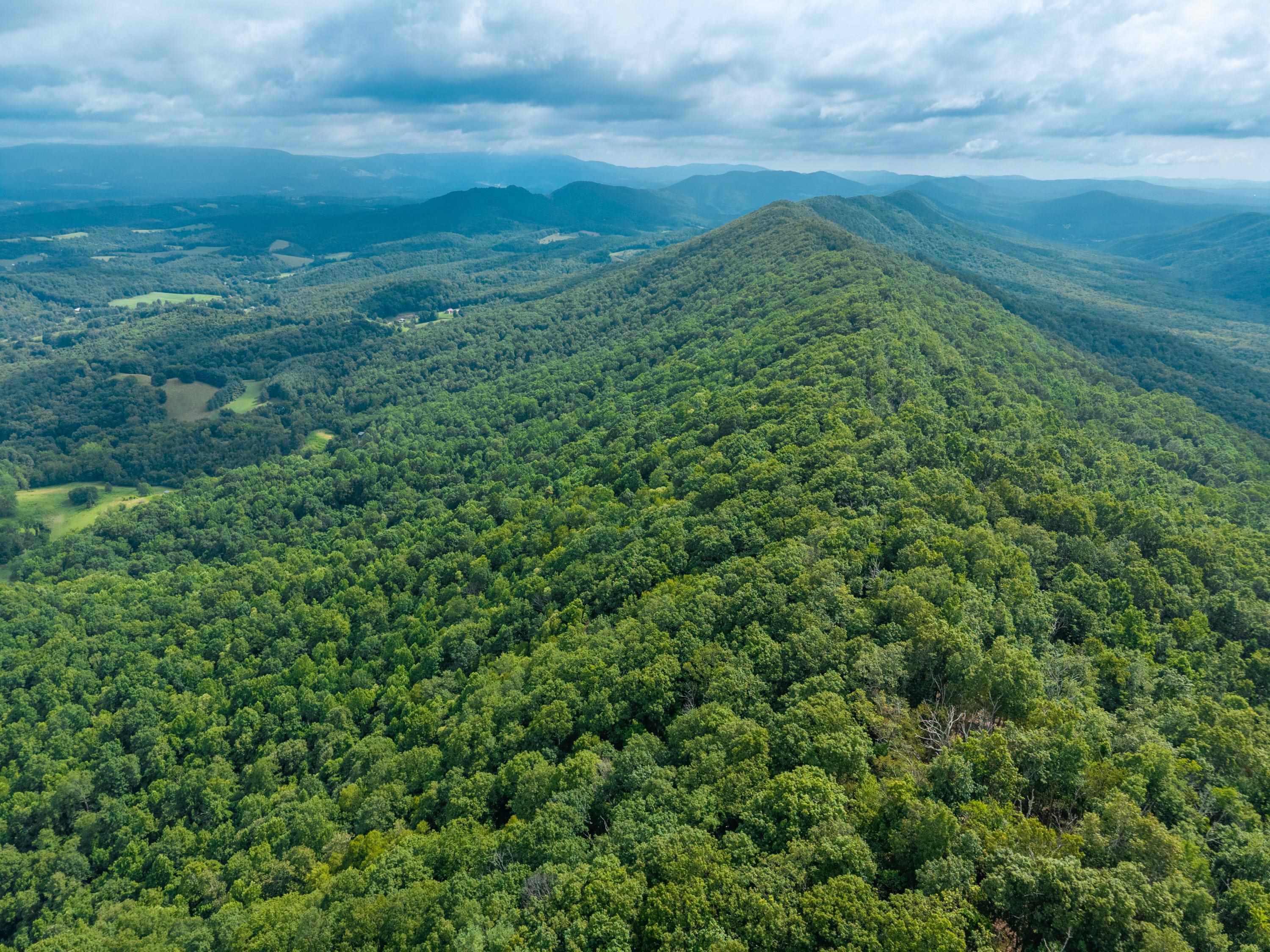 Tbd N Lot G Springdale Road N Pearisburg VA 24134