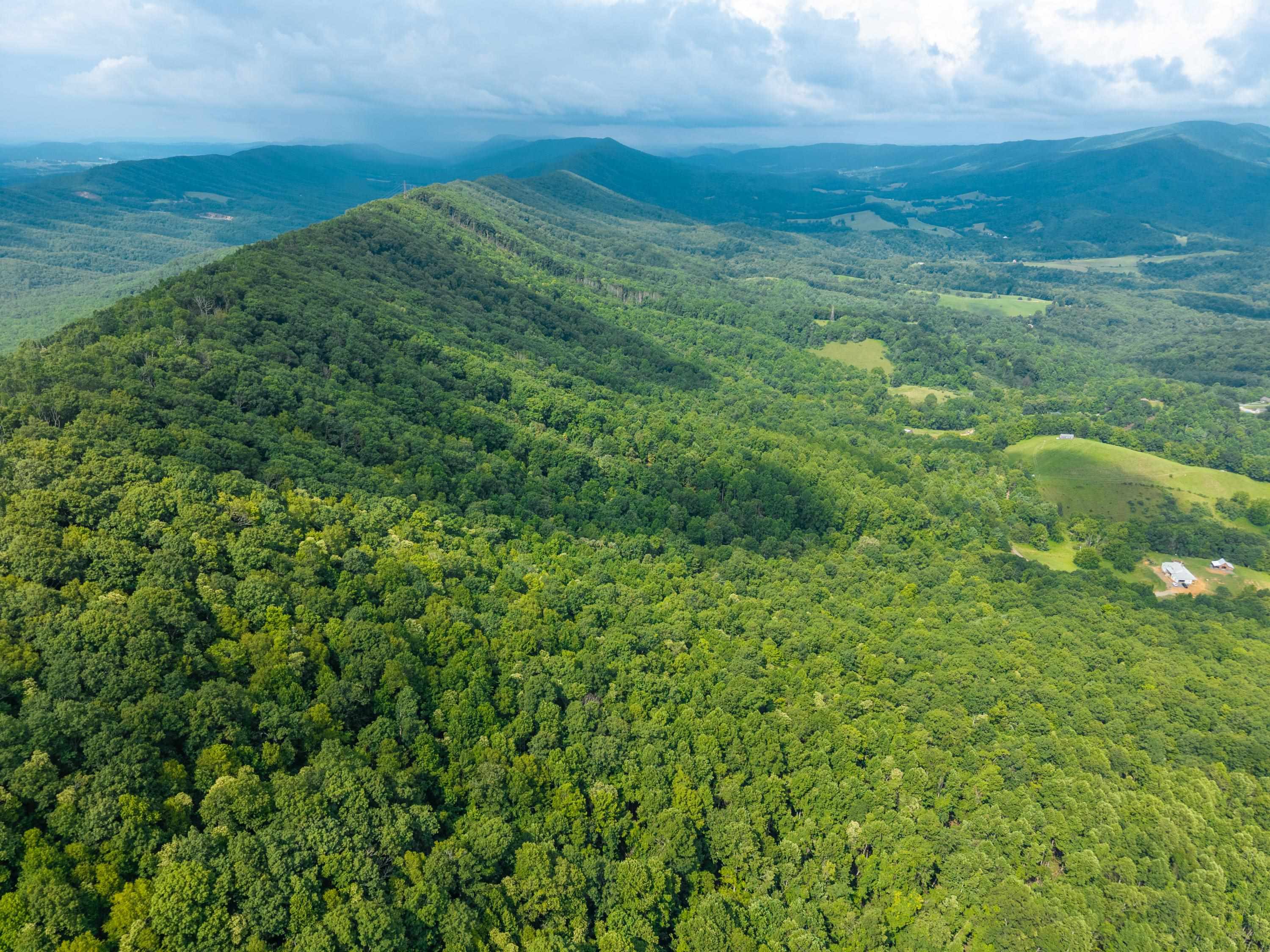 Tbd N Lot G Springdale Road N Pearisburg VA 24134