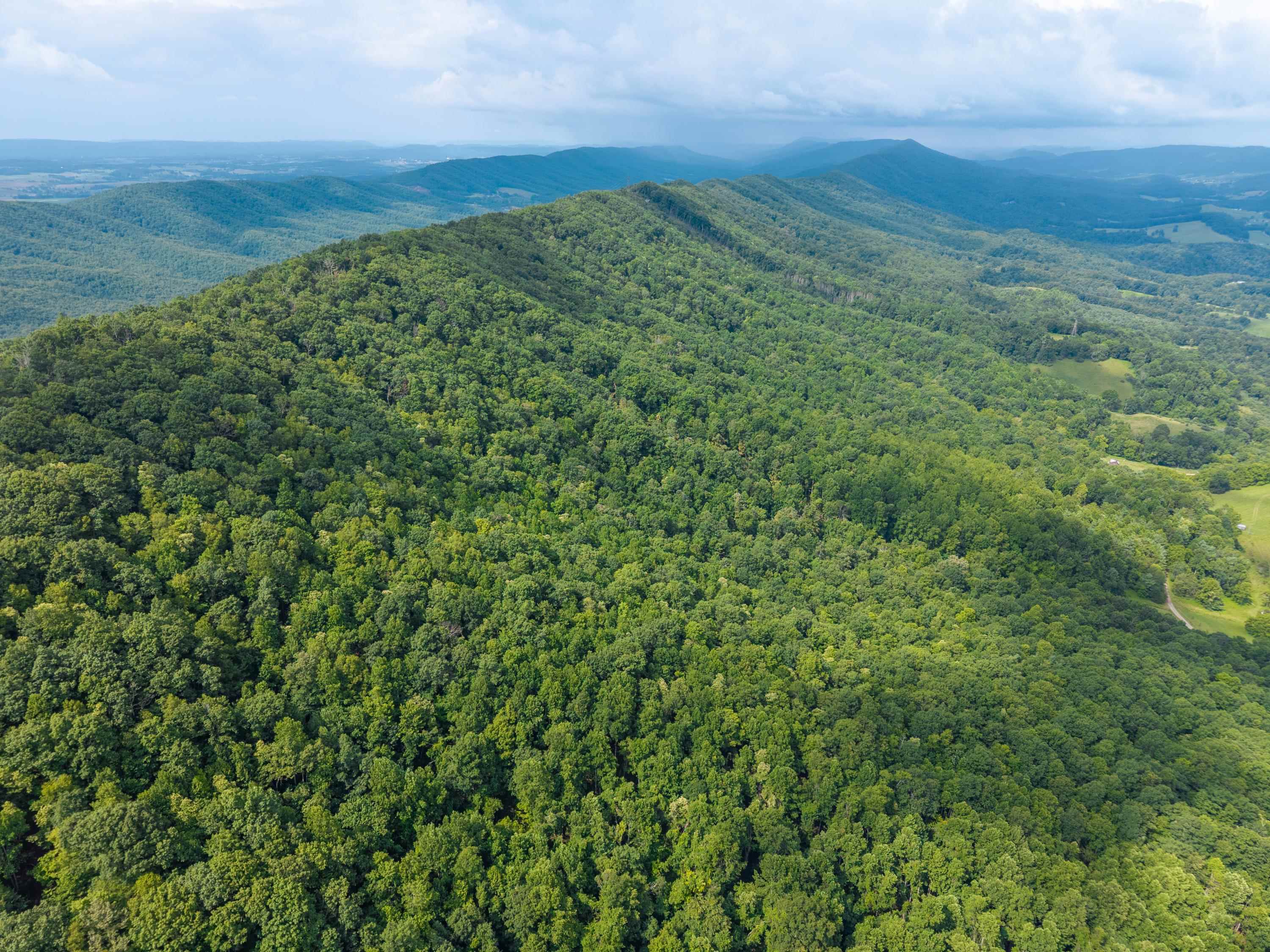 Tbd N Lot G Springdale Road N Pearisburg VA 24134