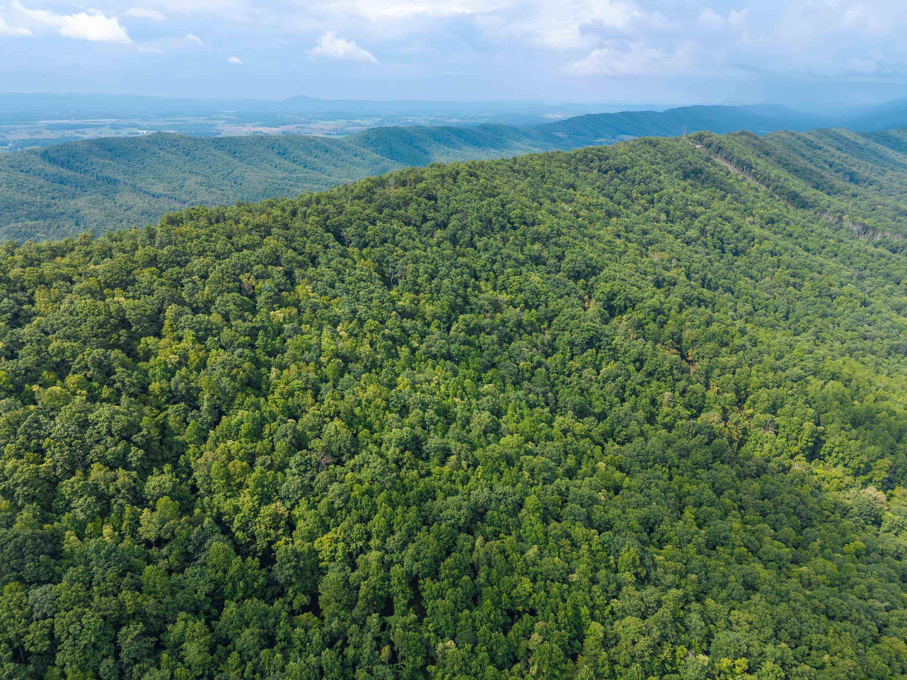 Tbd N Lot G Springdale Road N Pearisburg VA 24134