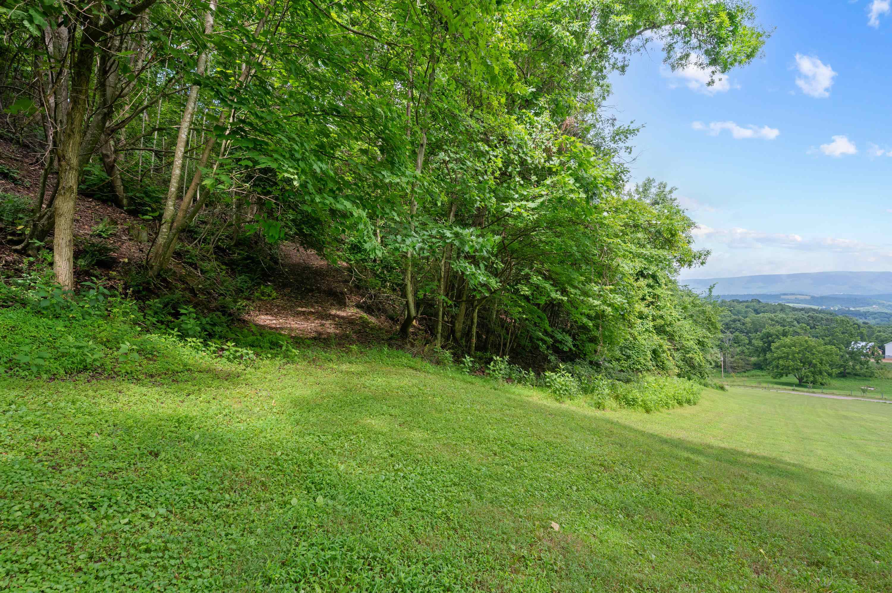 Tbd N Lot G Springdale Road N Pearisburg VA 24134