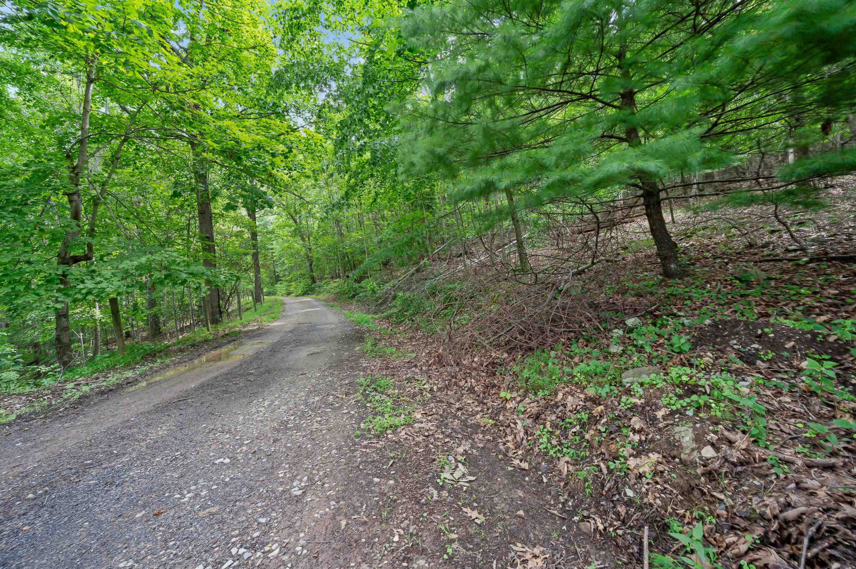 Tbd N Lot G Springdale Road N Pearisburg VA 24134