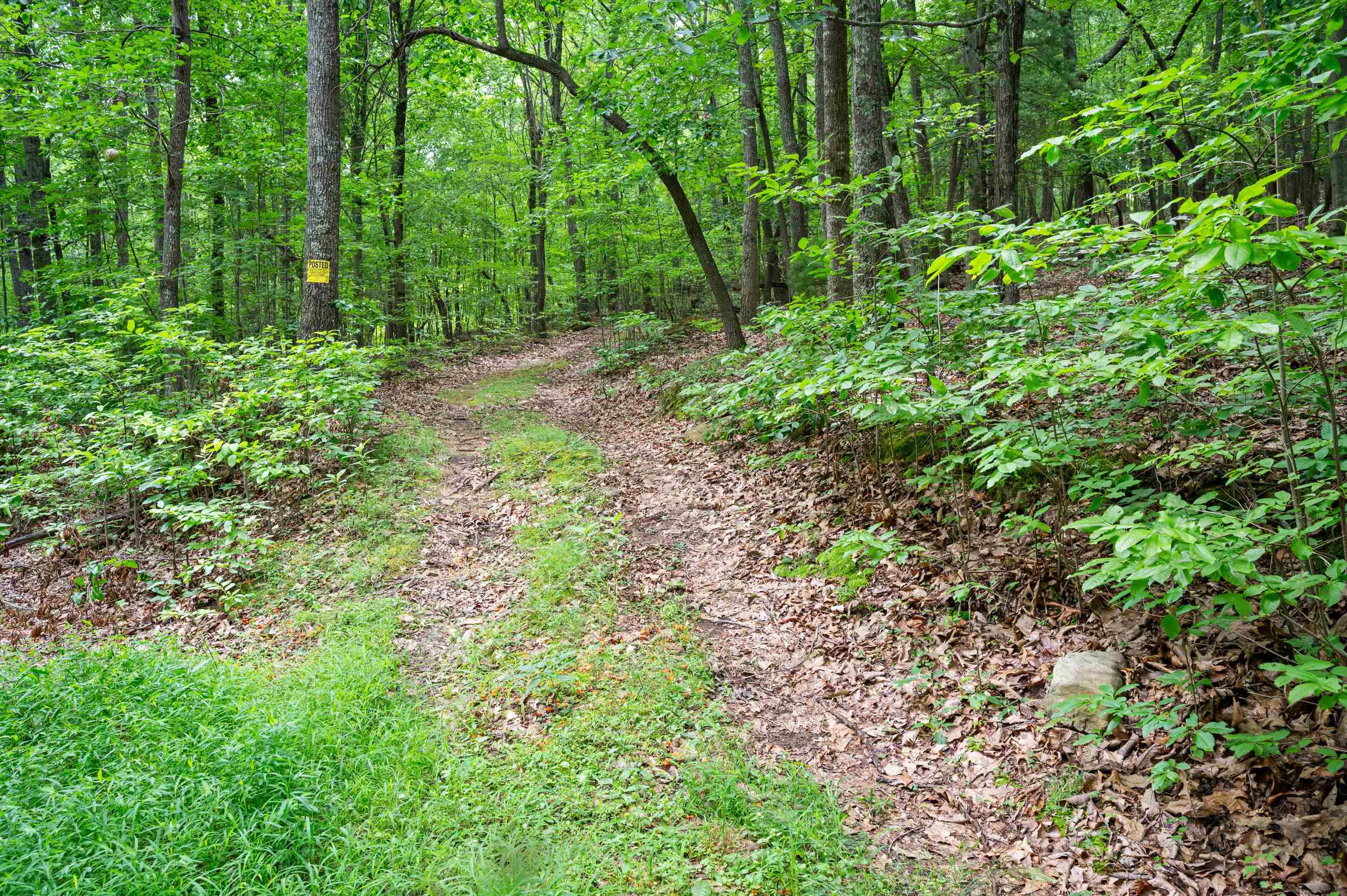 Tbd N Lot G Springdale Road N Pearisburg VA 24134