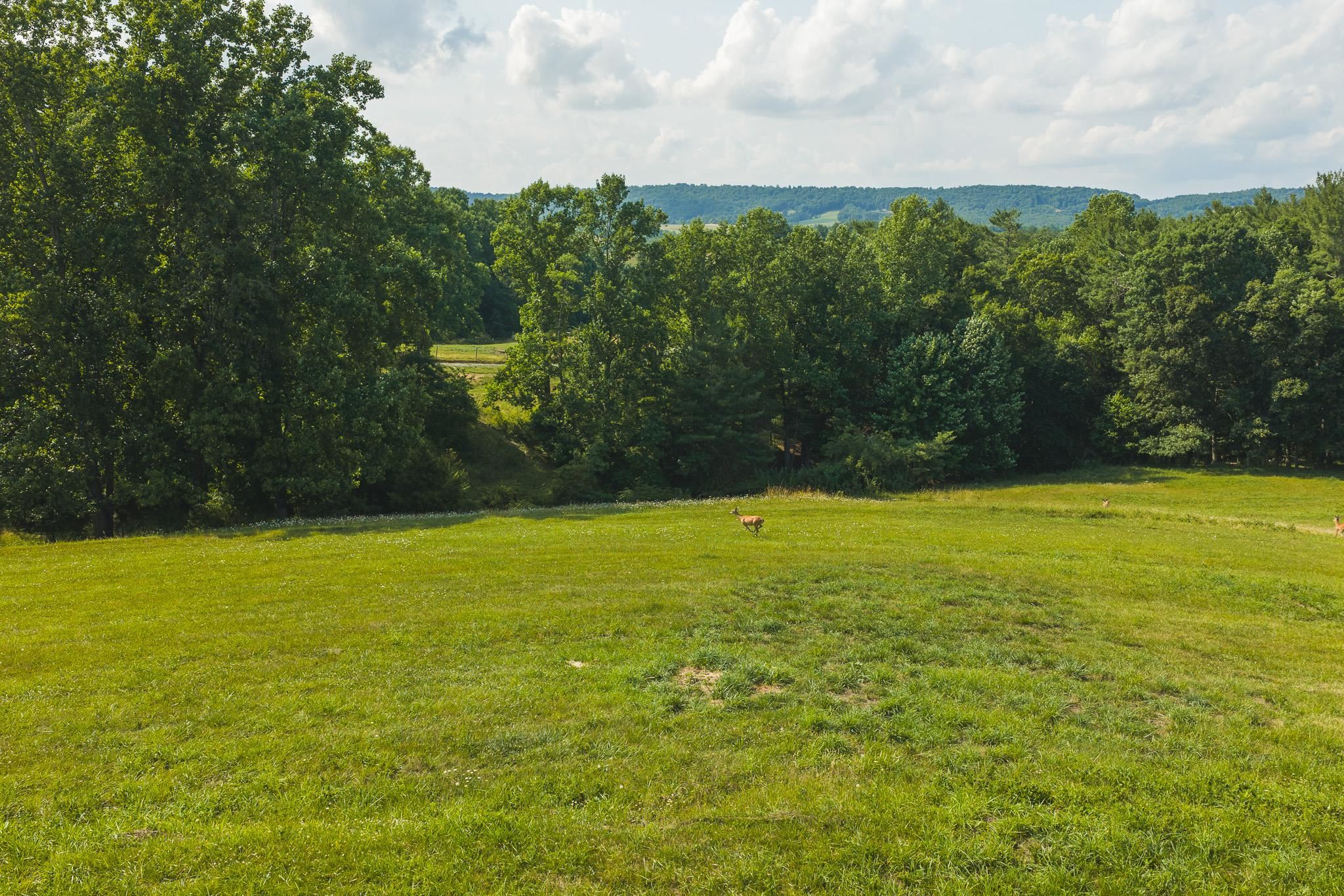 Lot 4 Brush Creek Road Riner VA 24149