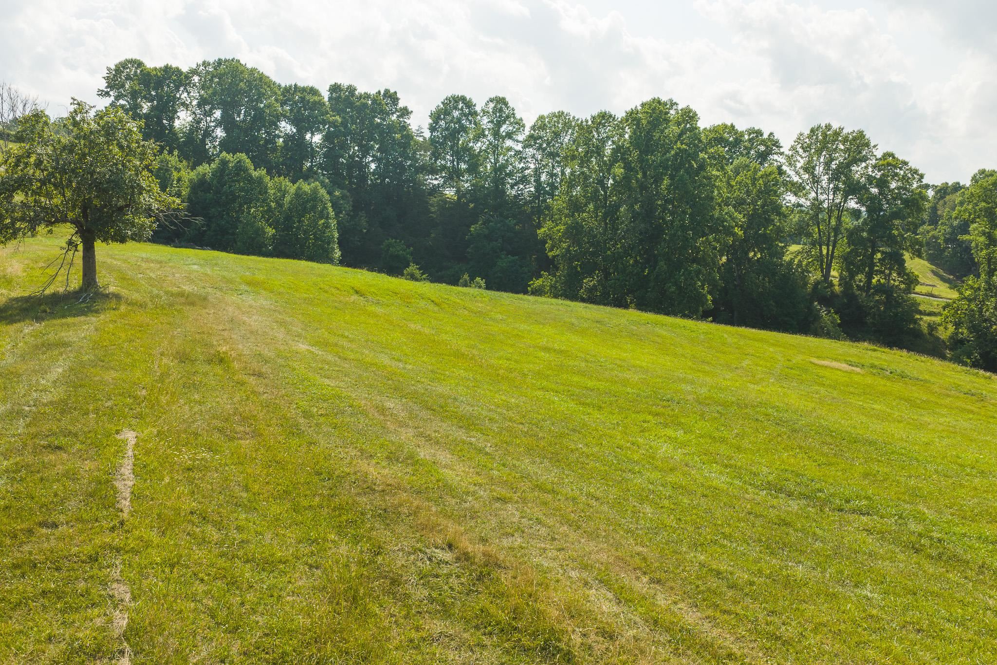 Lot 4 Brush Creek Road Riner VA 24149