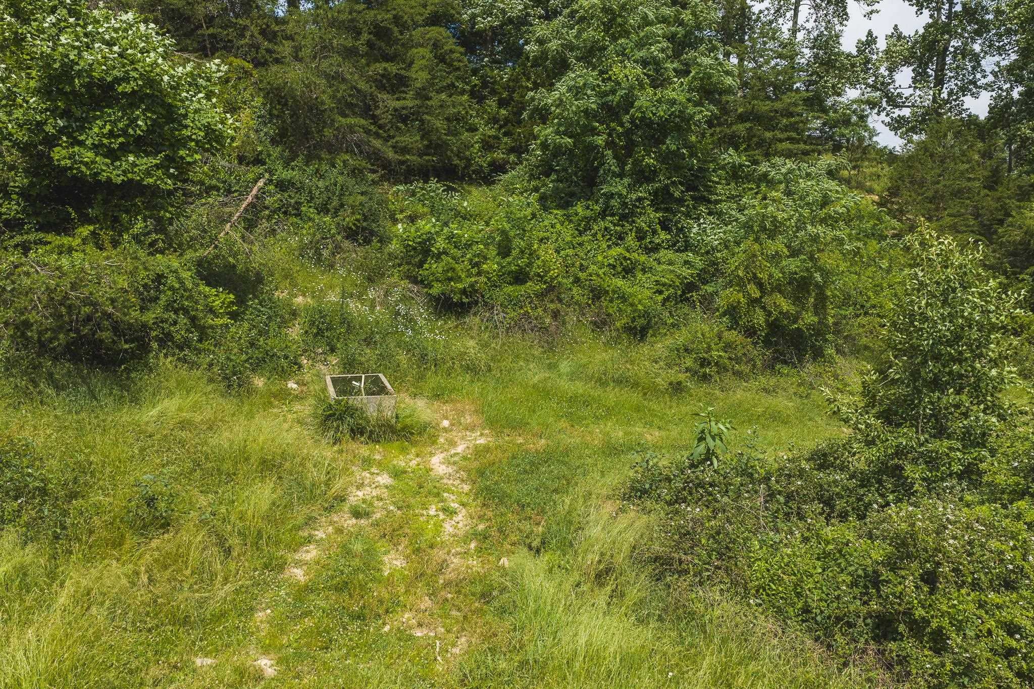 Lot 4 Brush Creek Road Riner VA 24149
