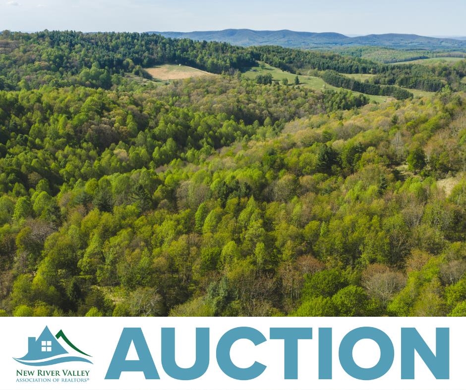 Tbd Black Ridge Road Floyd VA 24091