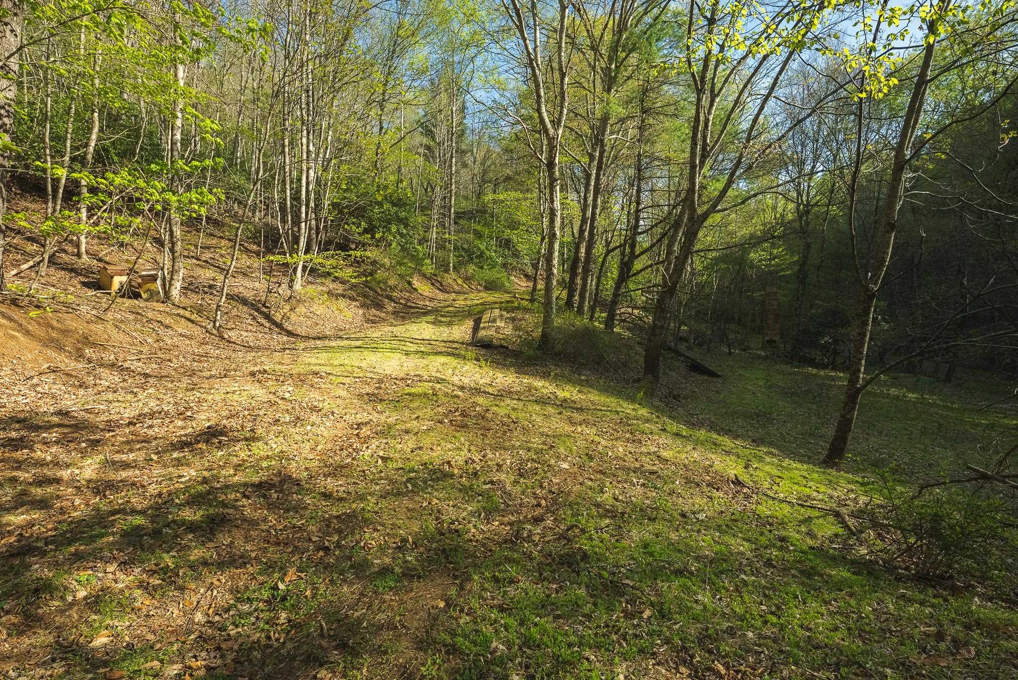 Tbd Black Ridge Road Floyd VA 24091