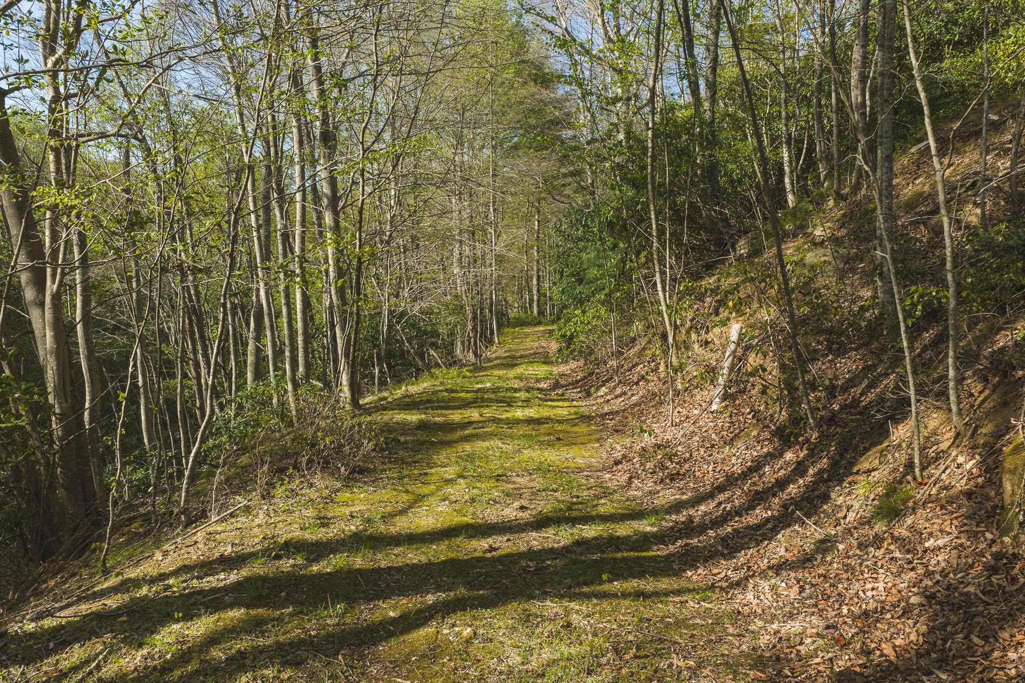 Tbd Black Ridge Road Floyd VA 24091