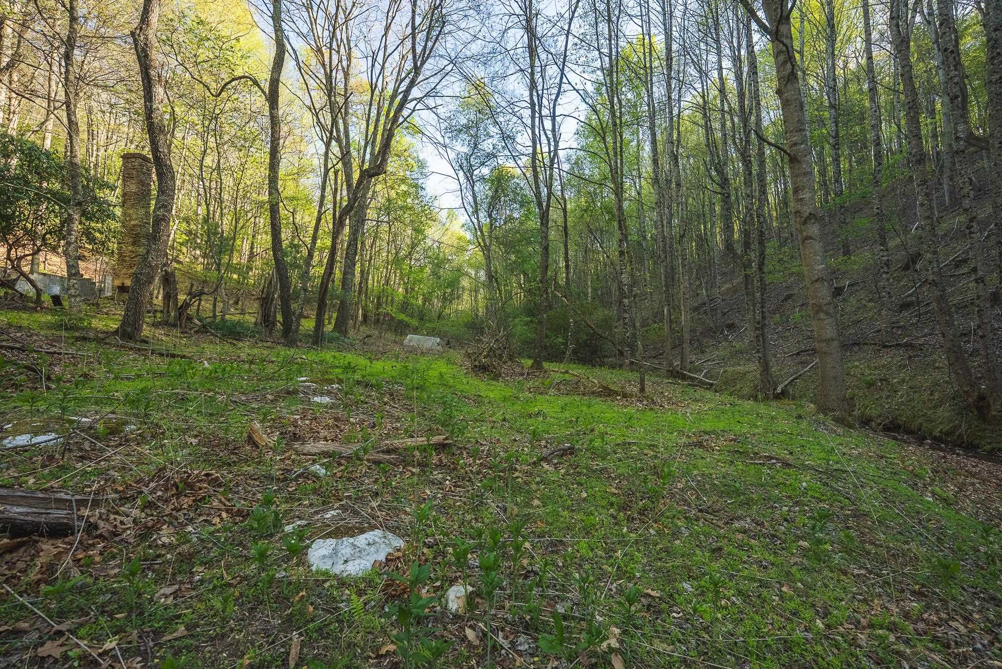 Tbd Black Ridge Road Floyd VA 24091