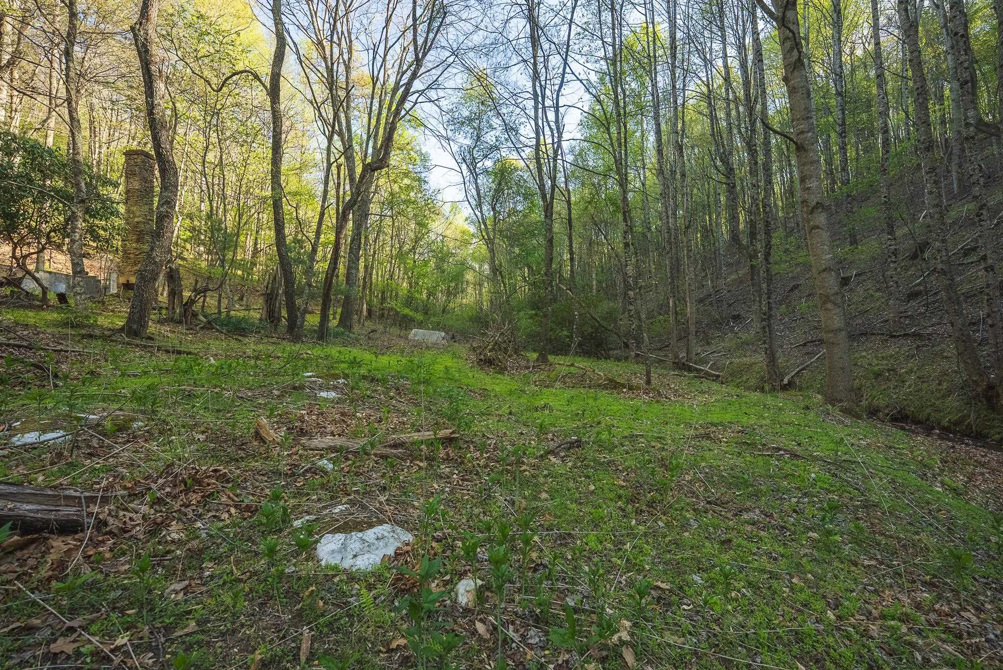 Tbd Black Ridge Road Floyd VA 24091