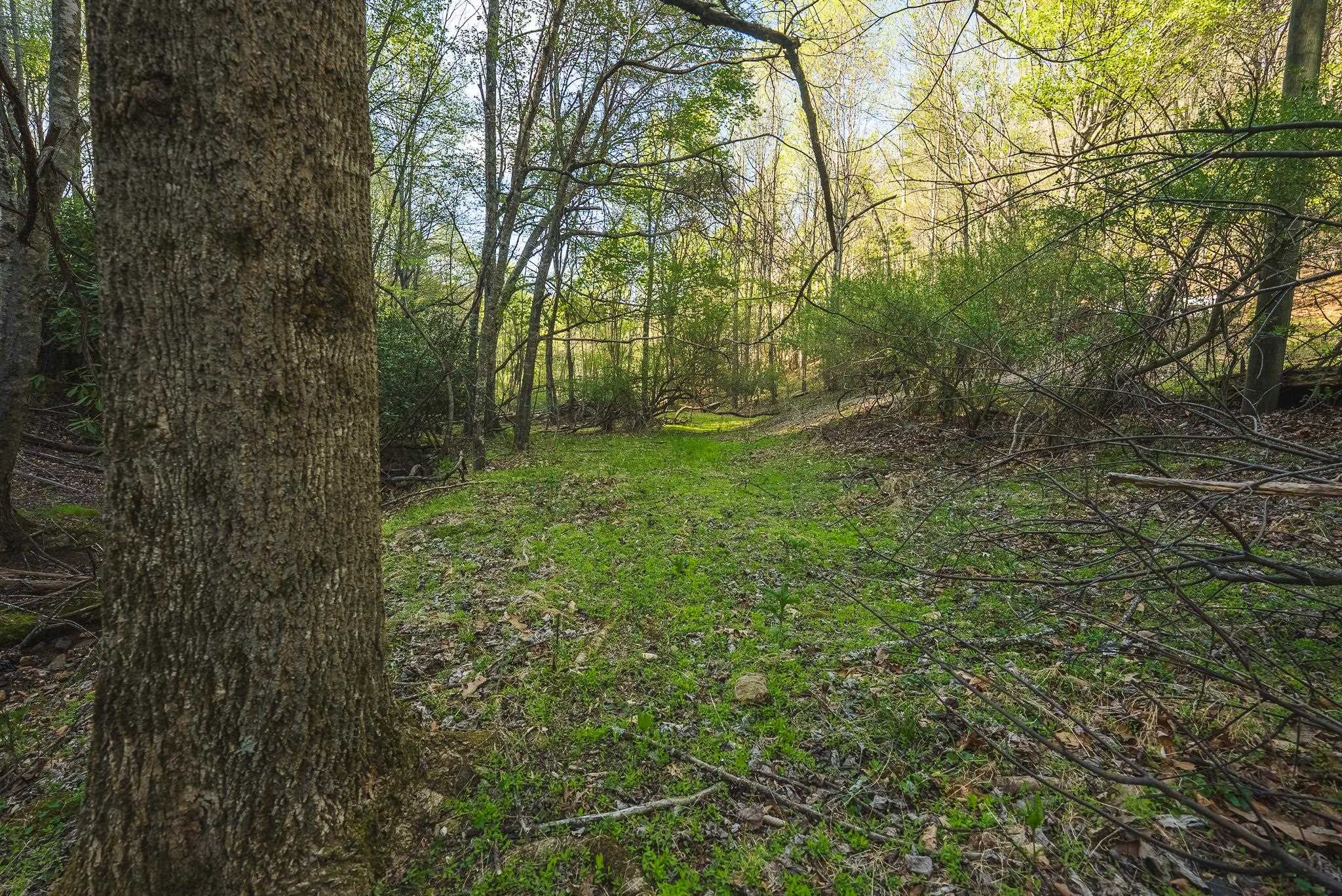 Tbd Black Ridge Road Floyd VA 24091