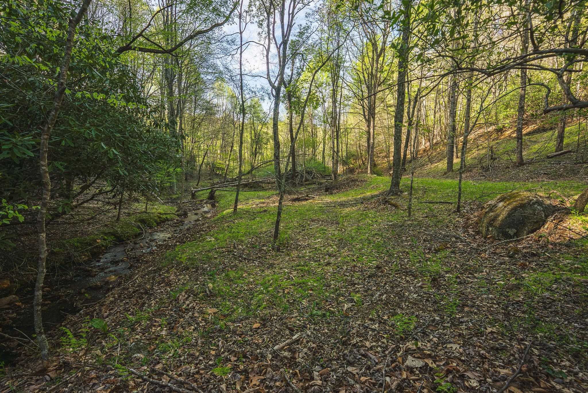 Tbd Black Ridge Road Floyd VA 24091