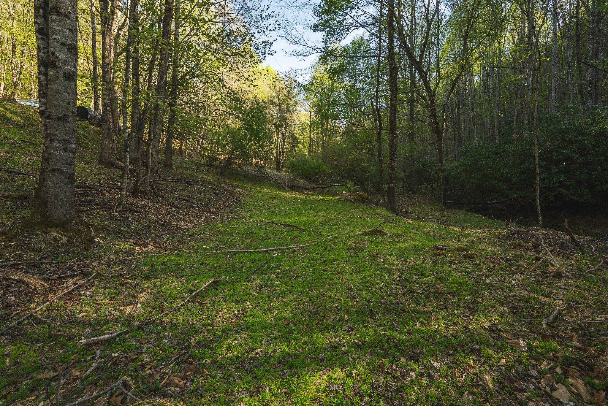 Tbd Black Ridge Road Floyd VA 24091
