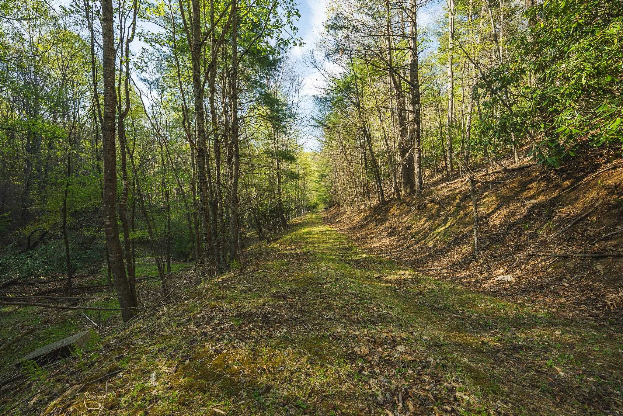 Tbd Black Ridge Road Floyd VA 24091