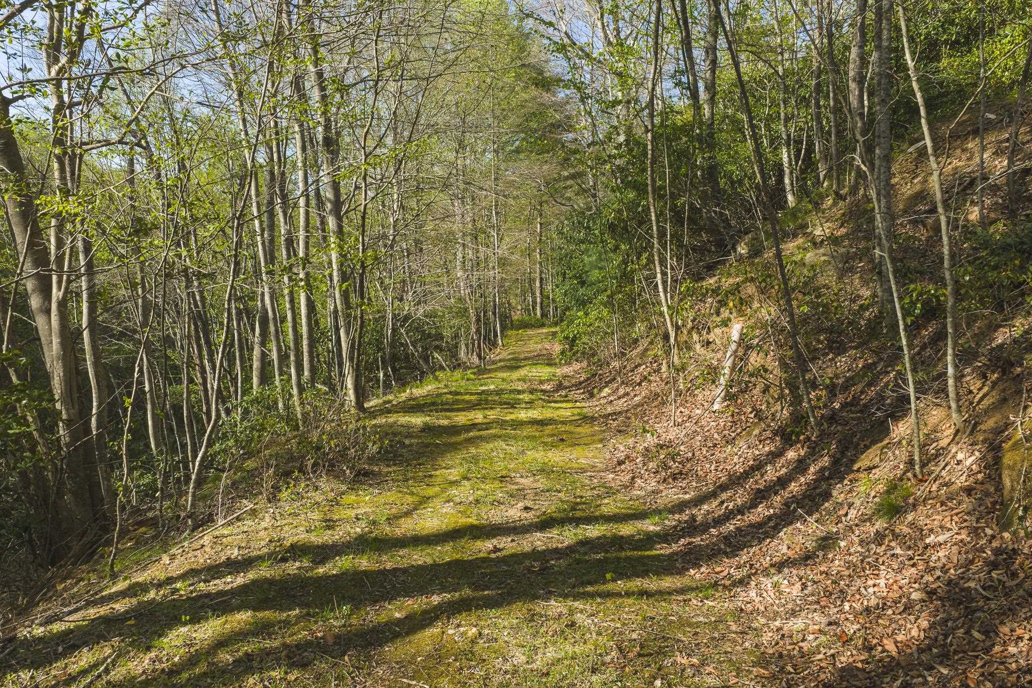 Tbd Black Ridge Road Floyd VA 24091