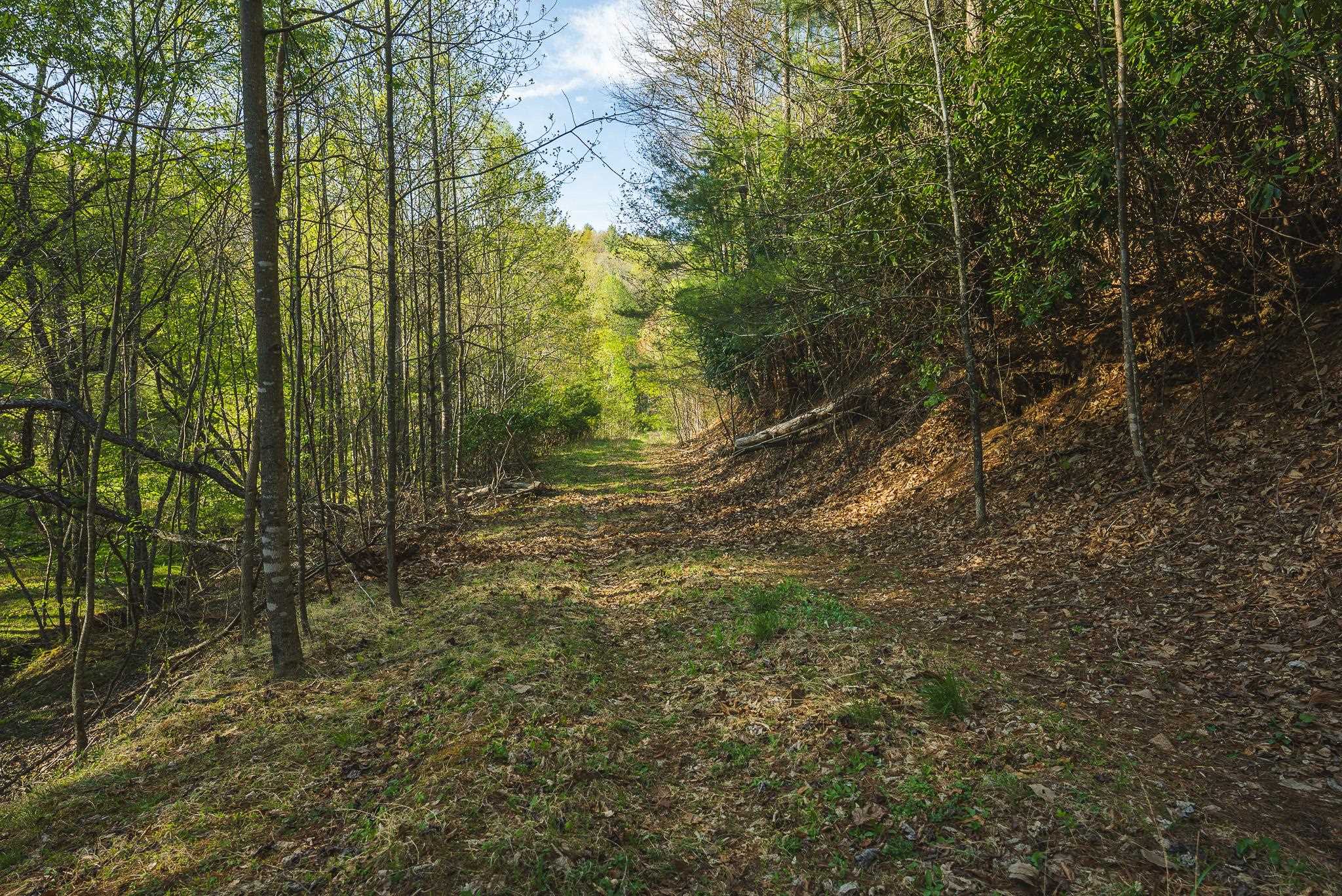 Tbd Black Ridge Road Floyd VA 24091