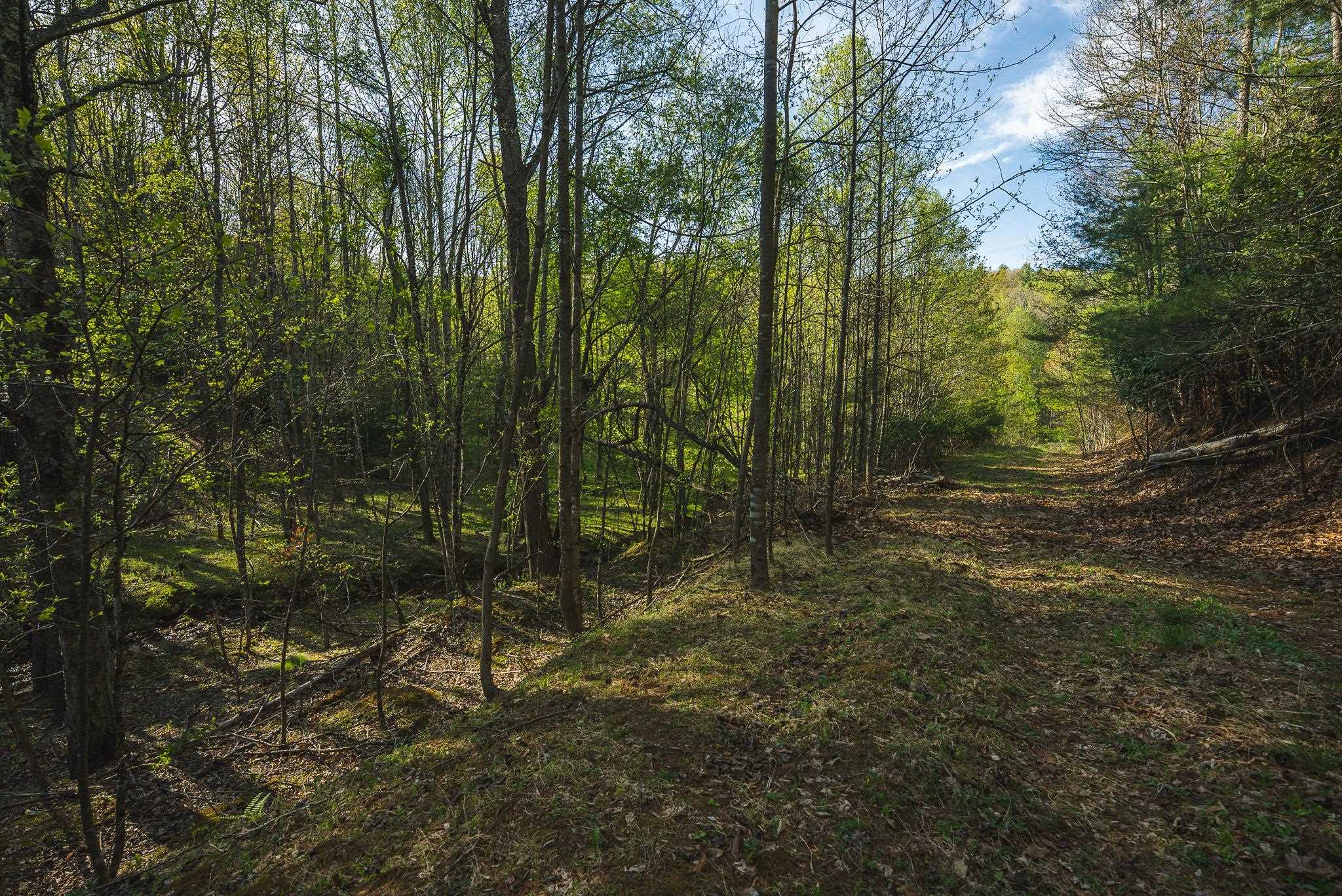 Tbd Black Ridge Road Floyd VA 24091