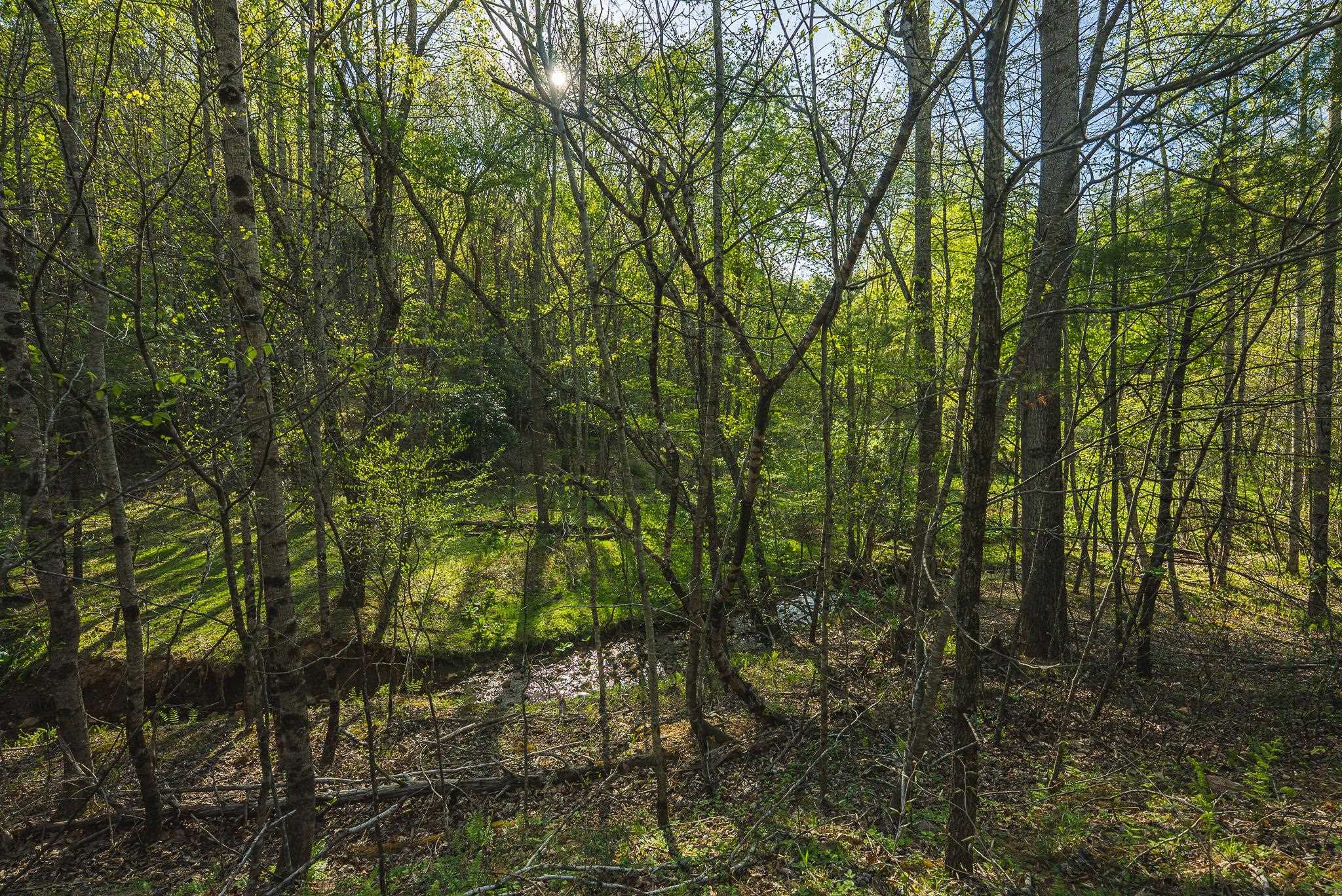 Tbd Black Ridge Road Floyd VA 24091