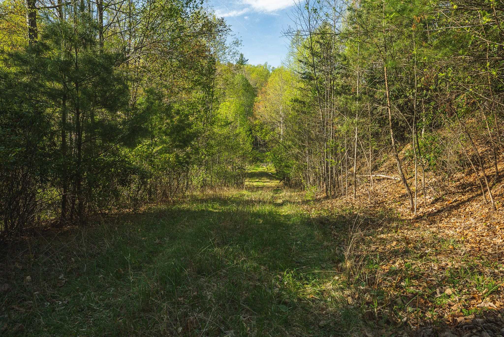 Tbd Black Ridge Road Floyd VA 24091