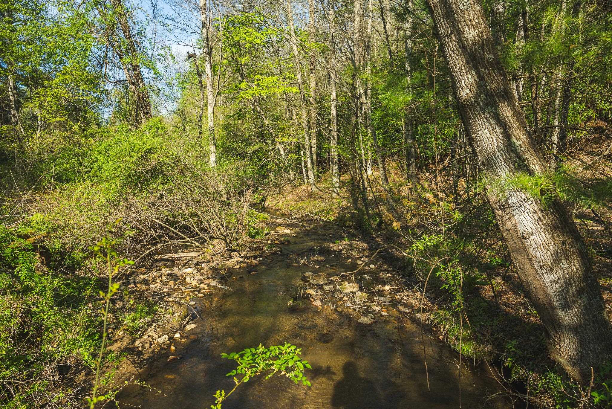 Tbd Black Ridge Road Floyd VA 24091