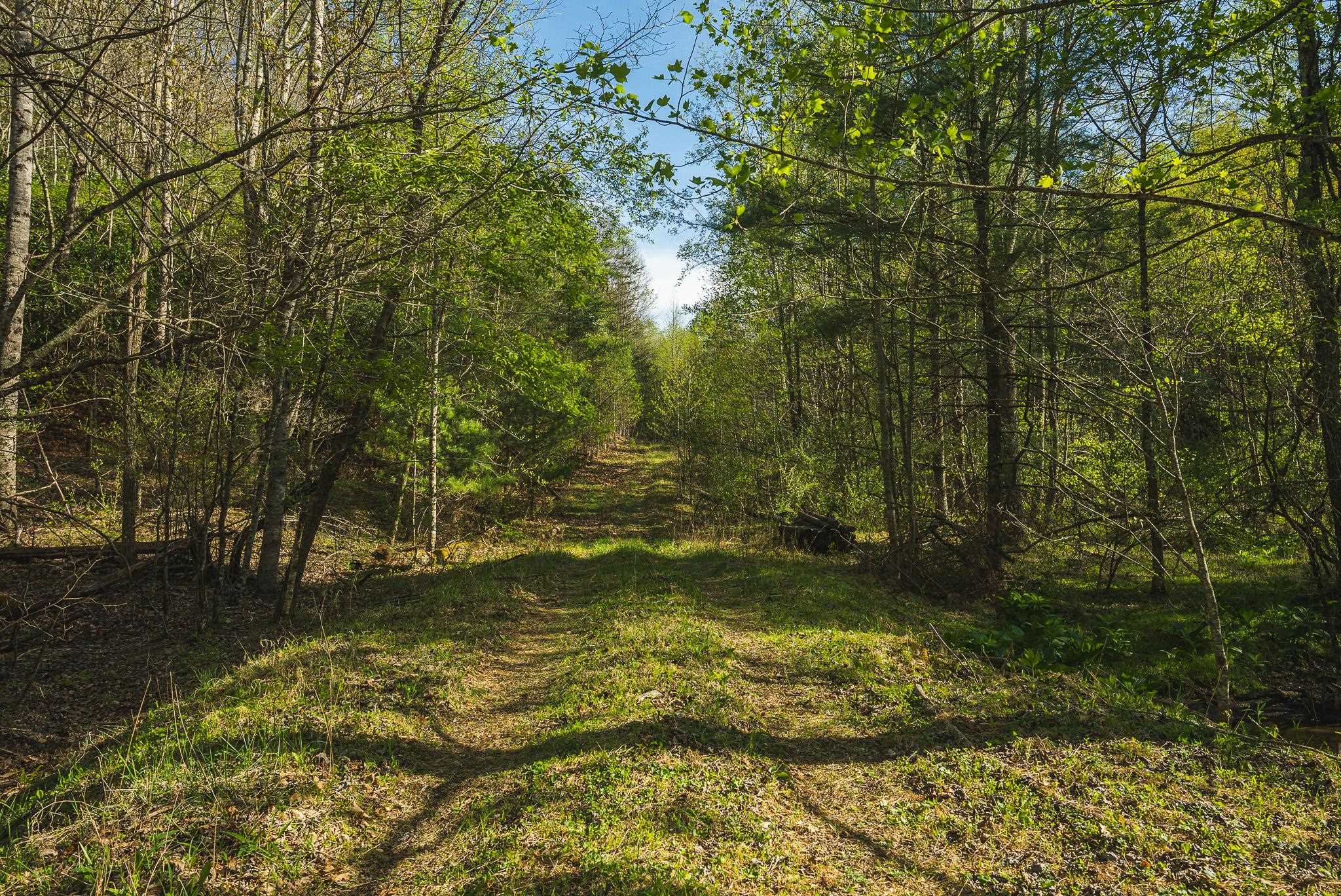 Tbd Black Ridge Road Floyd VA 24091