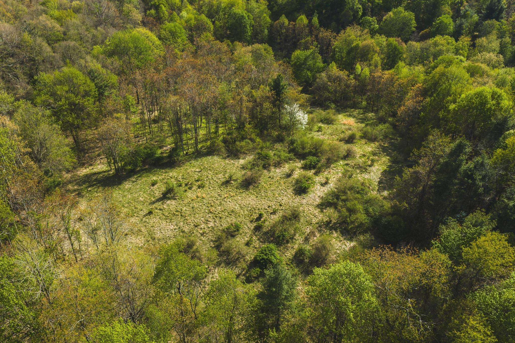 Tbd Black Ridge Road Floyd VA 24091