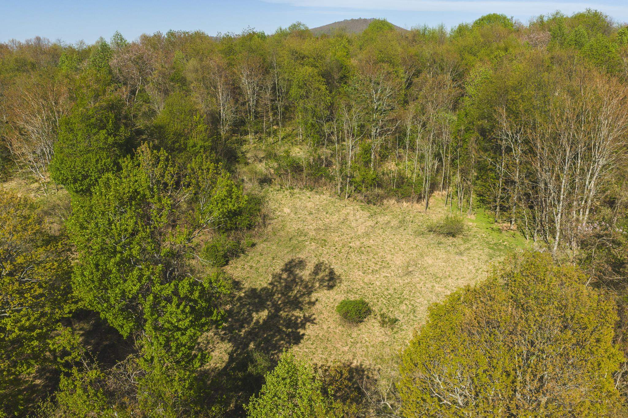 Tbd Black Ridge Road Floyd VA 24091