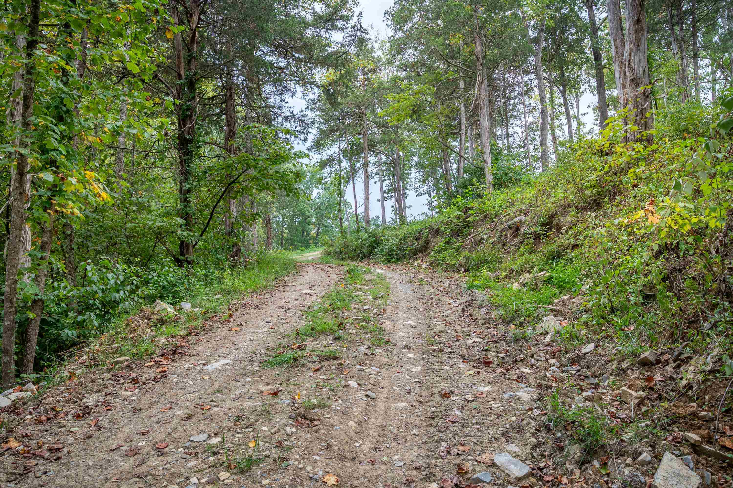 5230 Deertrot Road Dublin VA 24084