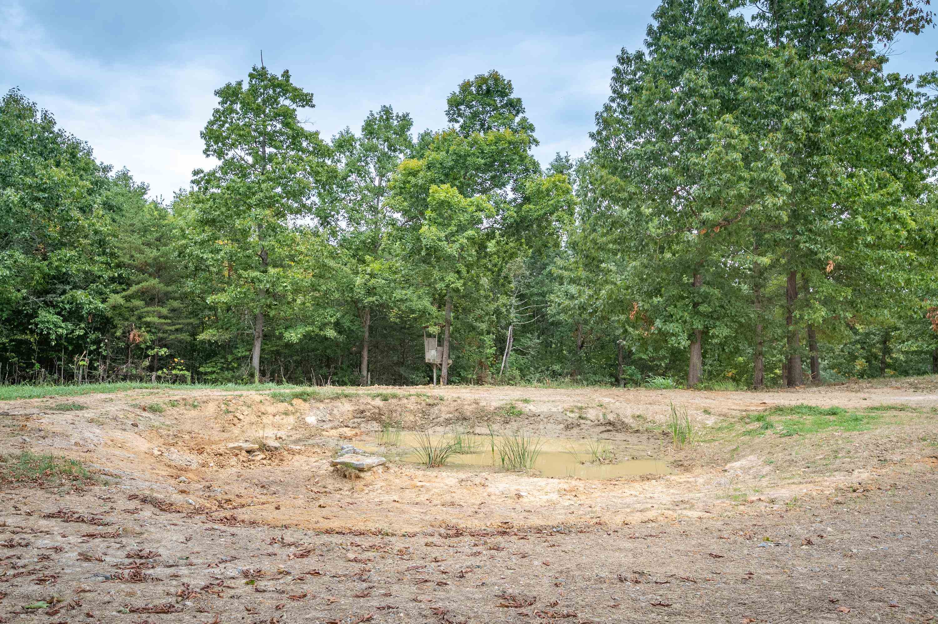 5230 Deertrot Road Dublin VA 24084