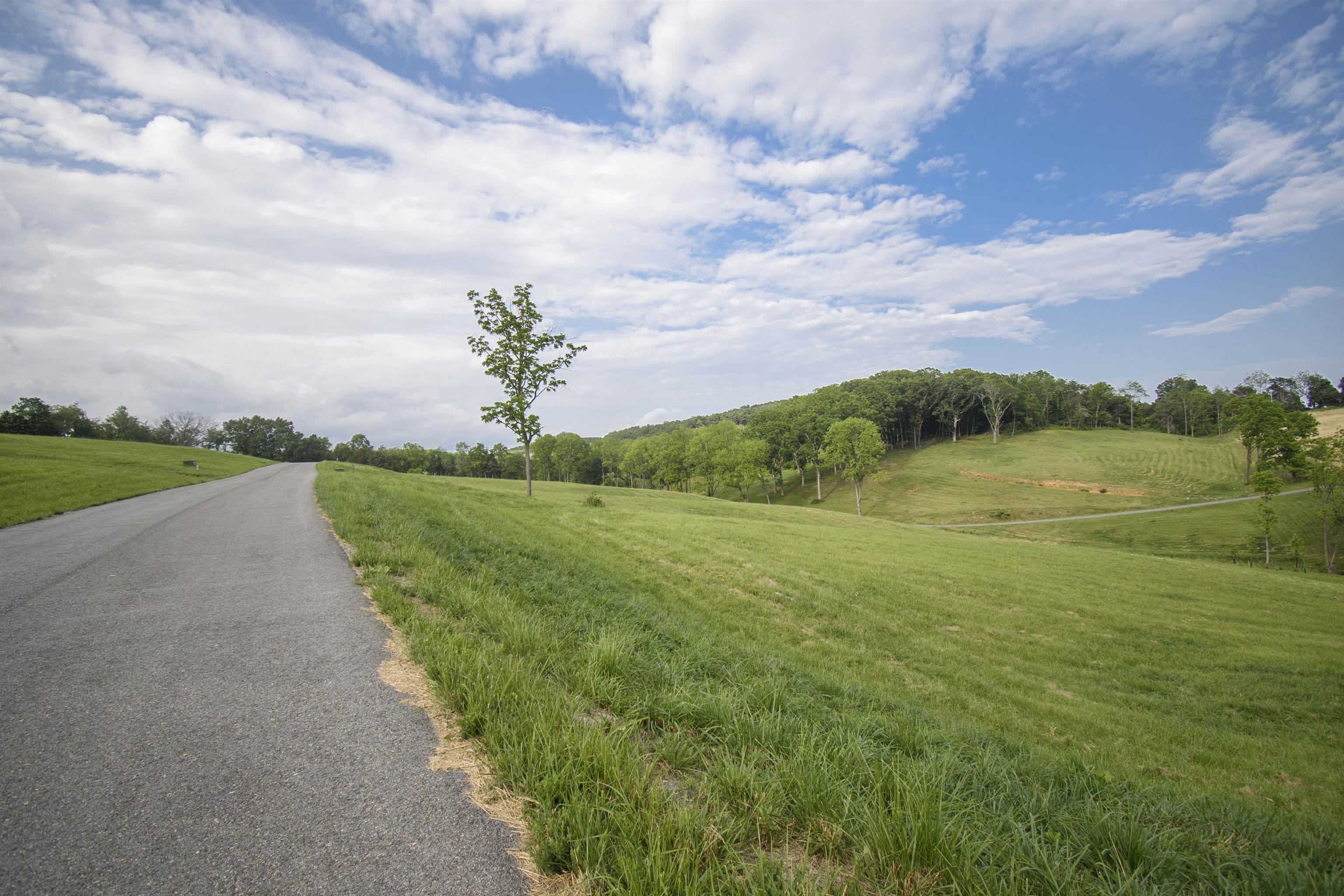 Tbd Tanager Lot 13 Cove Dublin VA 24084