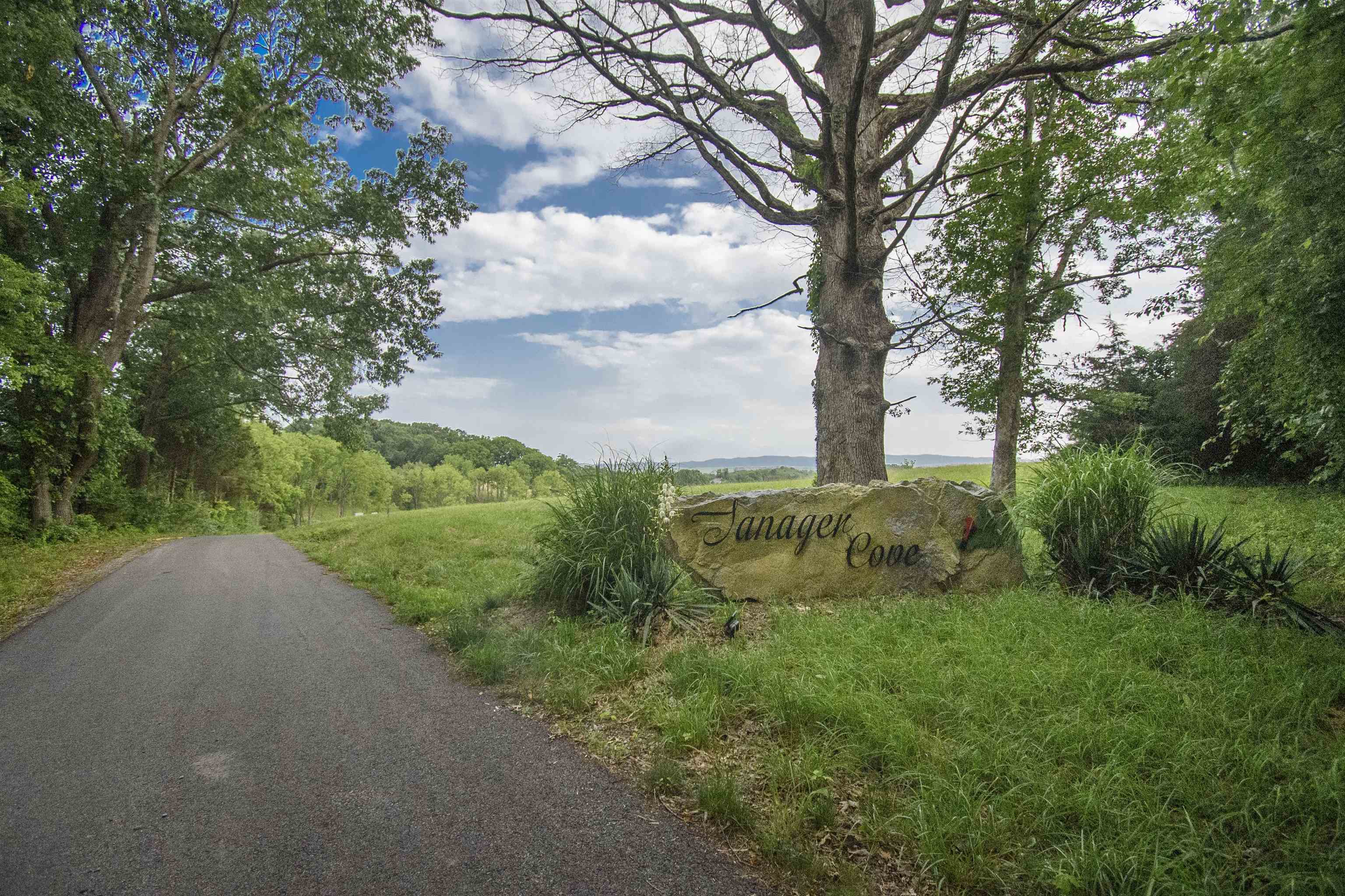 Tbd Tanager Lot 13 Cove Dublin VA 24084